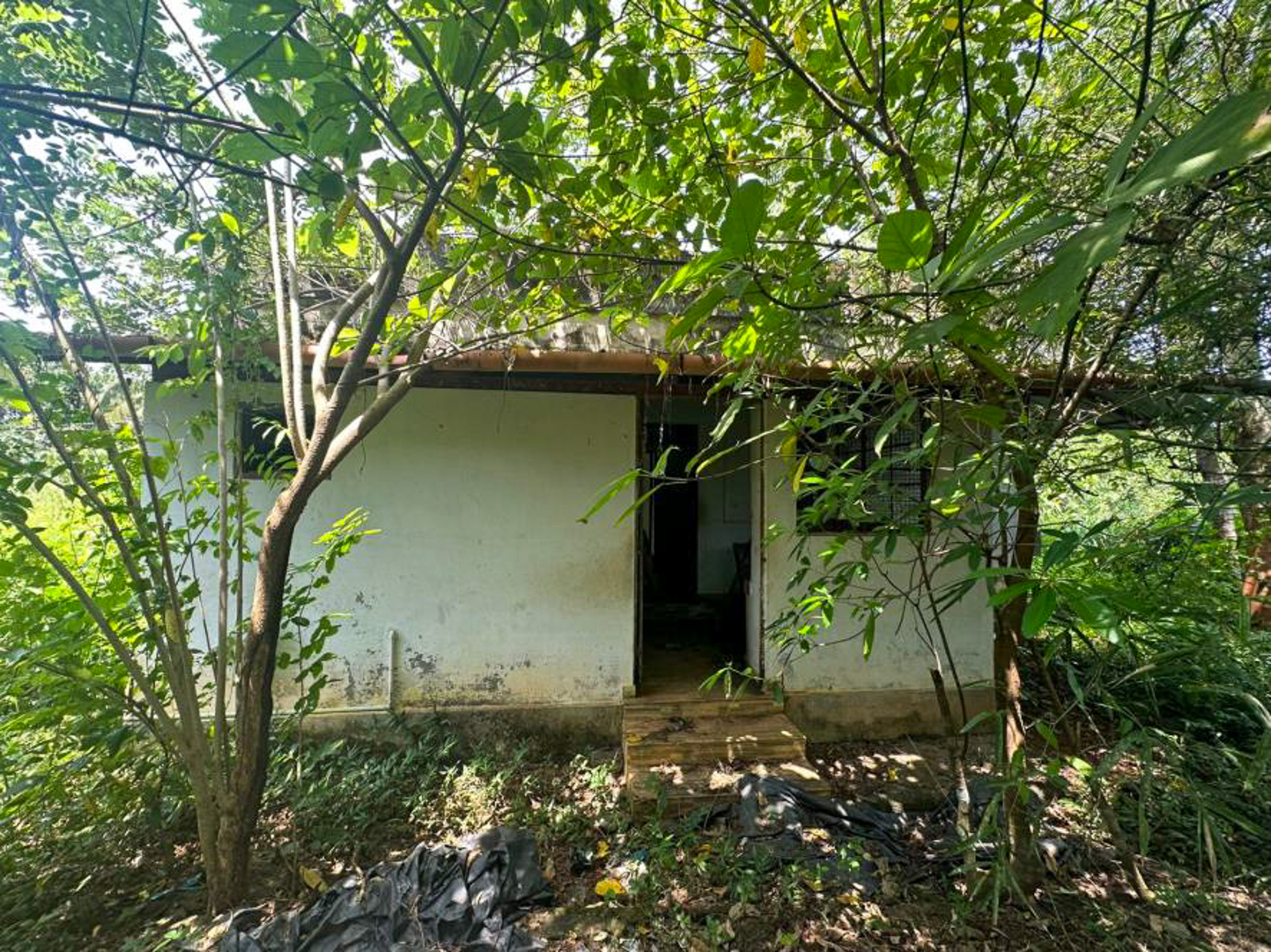 Individual House for sale in THAZHEKKAD VILLAGE Avittathur — photo 4