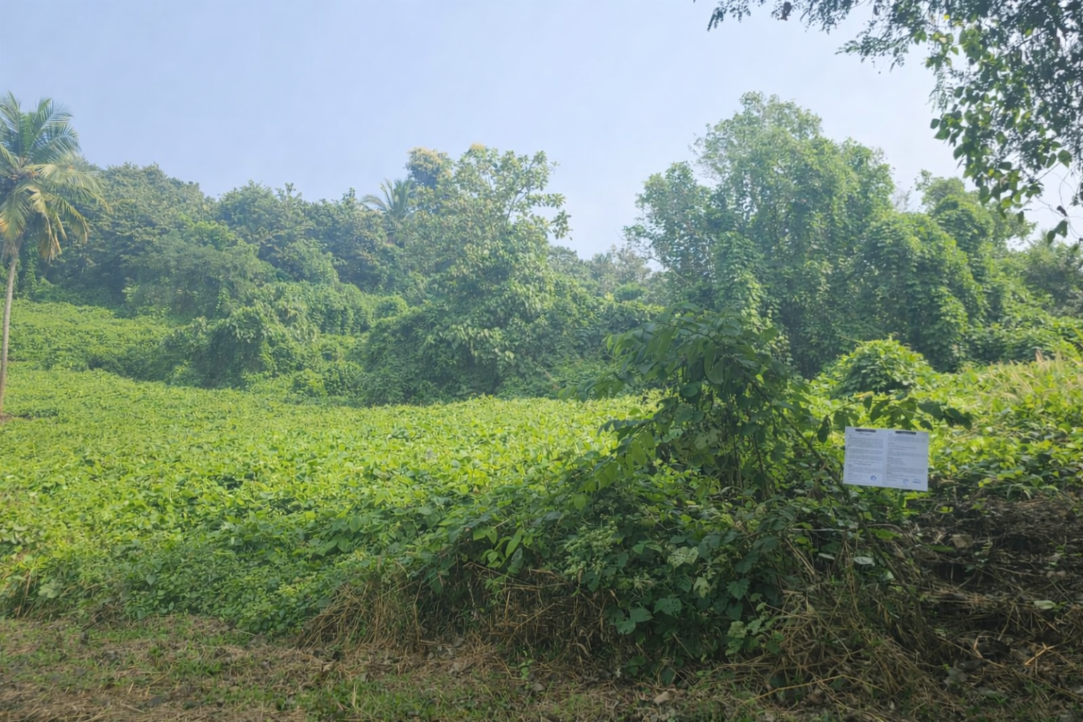 LAND for sale in KILLANNUR Killannur — photo 1