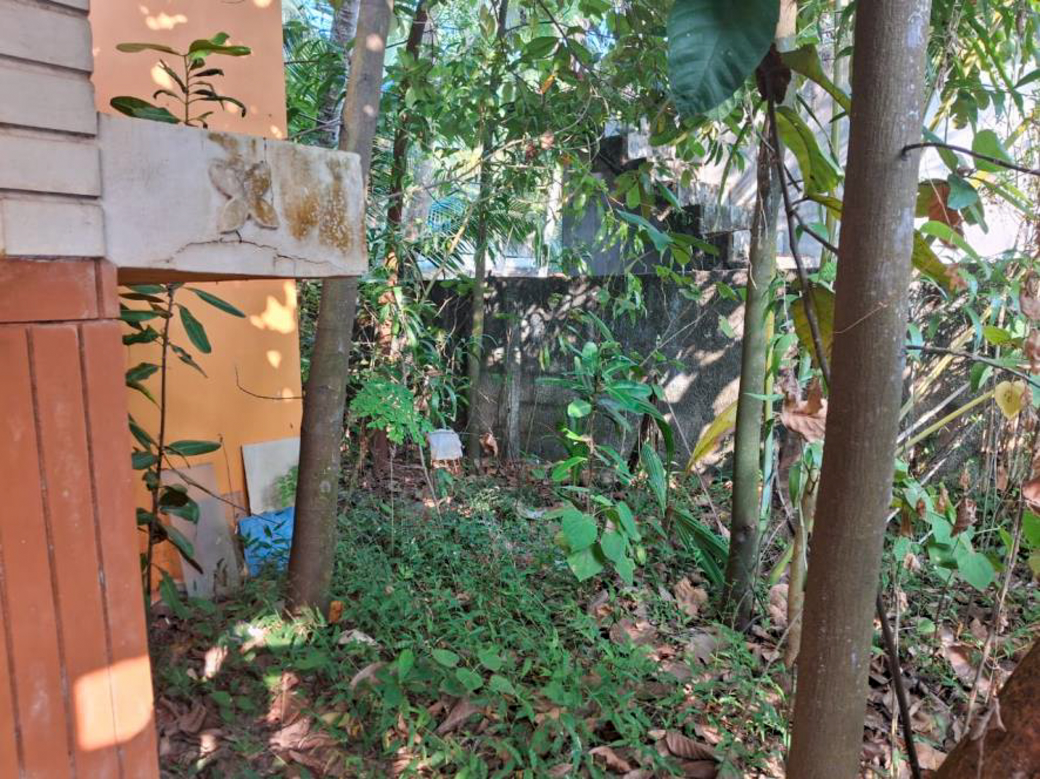 3 BHK Individual House for sale in Adimalithura Malayinkeezhu — photo 2