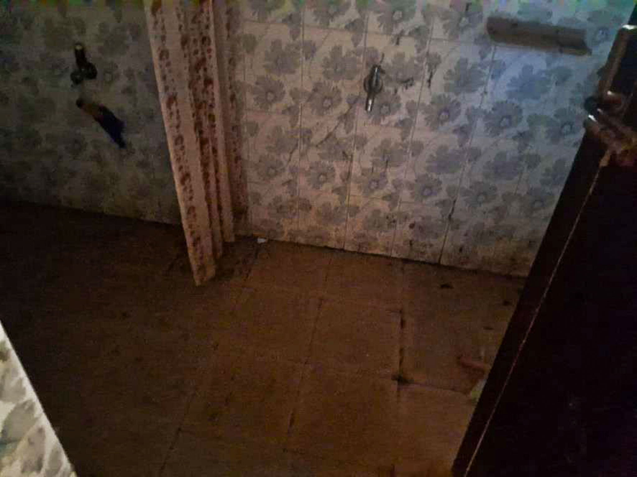 3 BHK Individual House for sale in Adimalithura Malayinkeezhu — photo 16