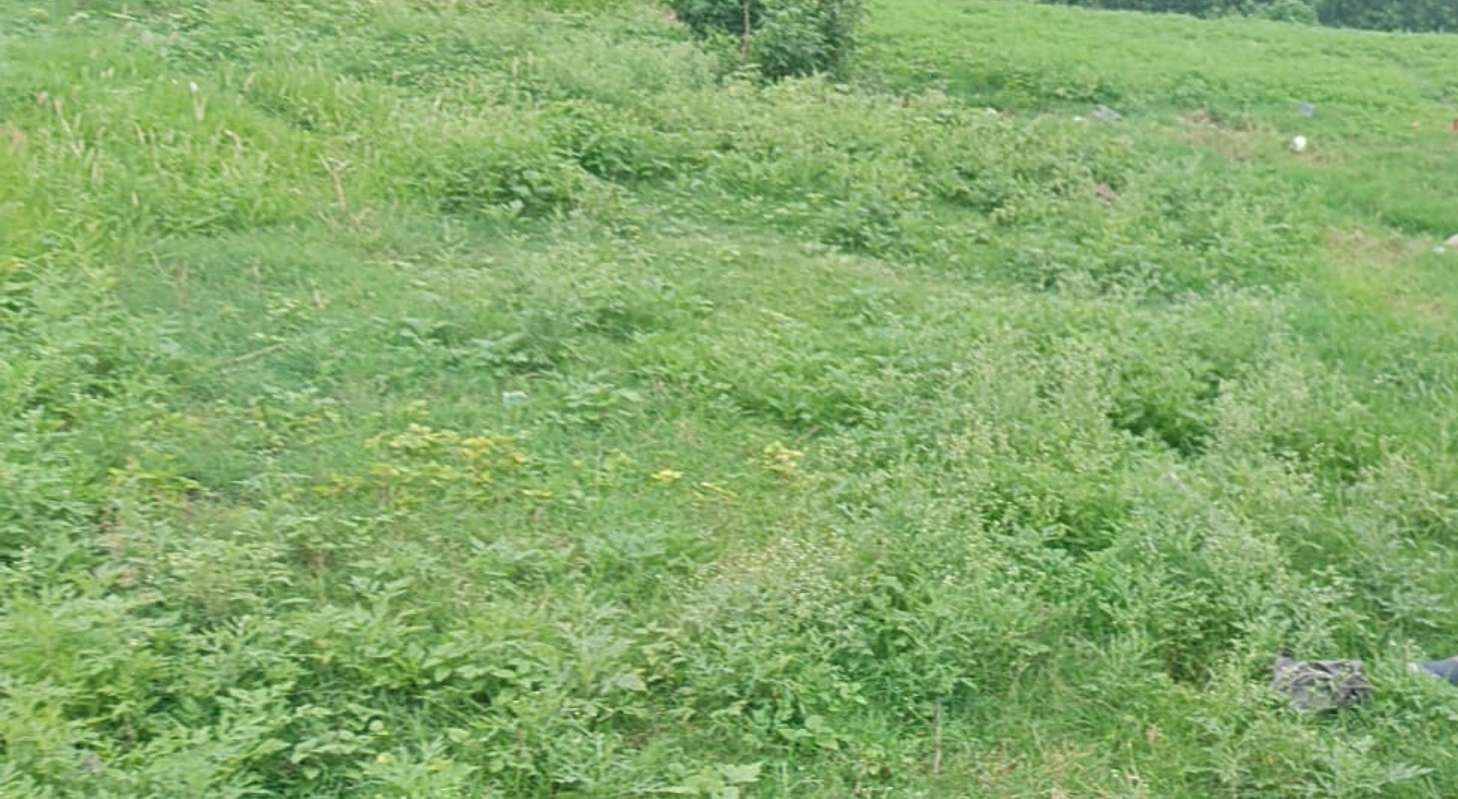 60 square meter Individual House for sale in Barwara Mazra — photo 2