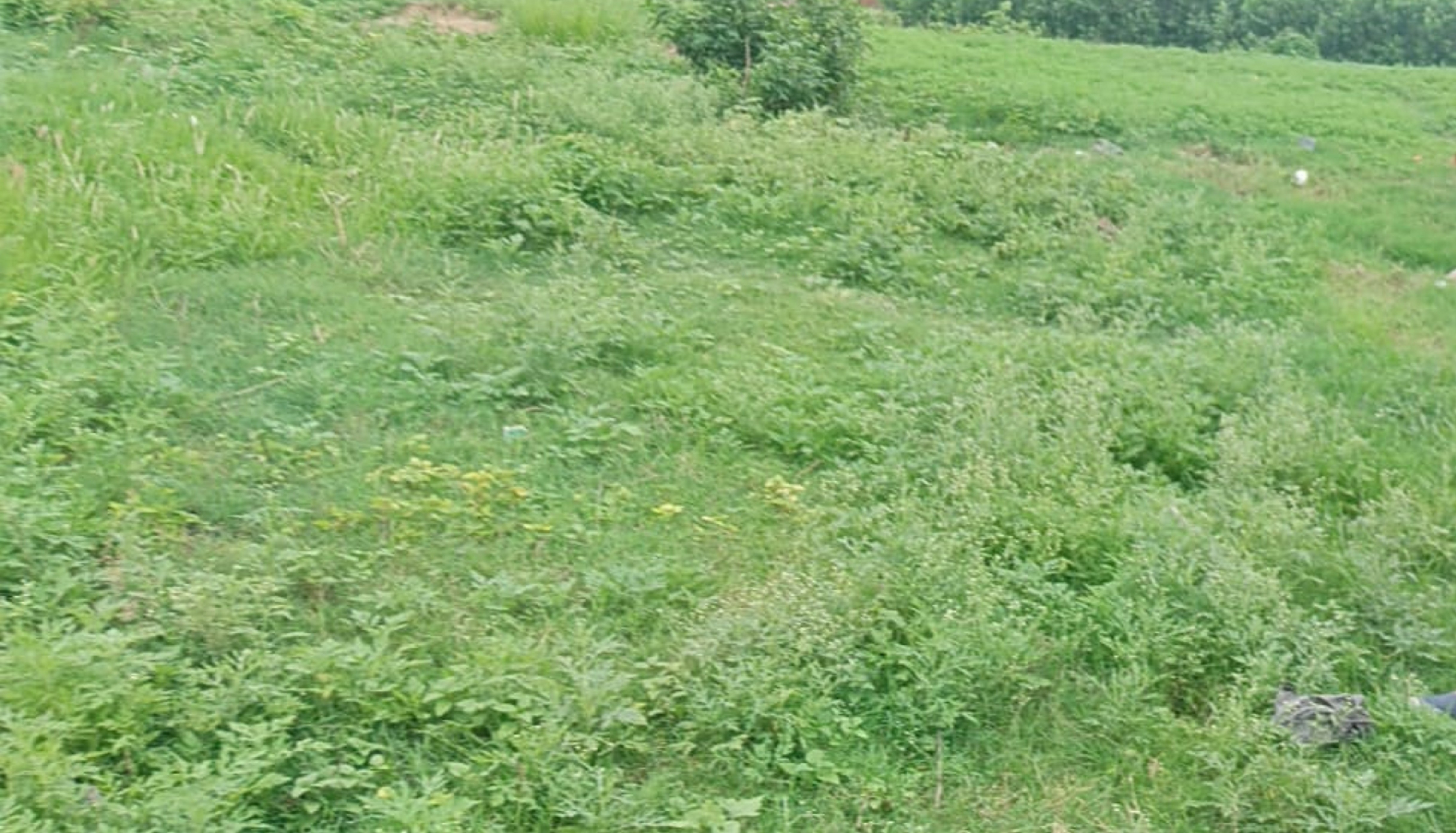 60 square meter Individual House for sale in Barwara Mazra — photo 5