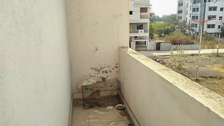 47.51 square meter Flat for sale in PADEGAON CHHATRAPATI SAMBHAJINAGAR Chhatrapati Sambhajinagar — photo 14
