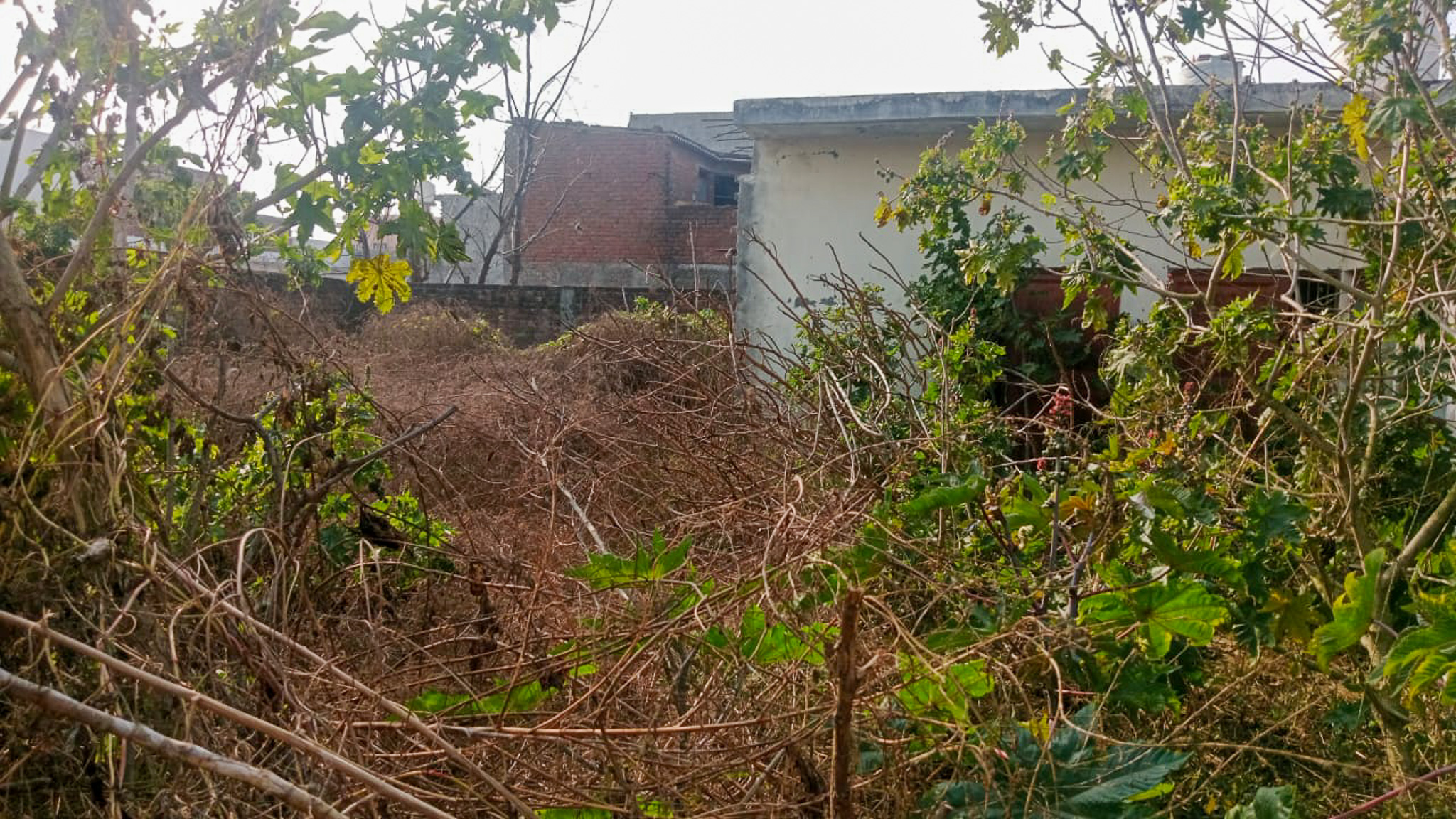 Individual House for sale in Amritsar — photo 13