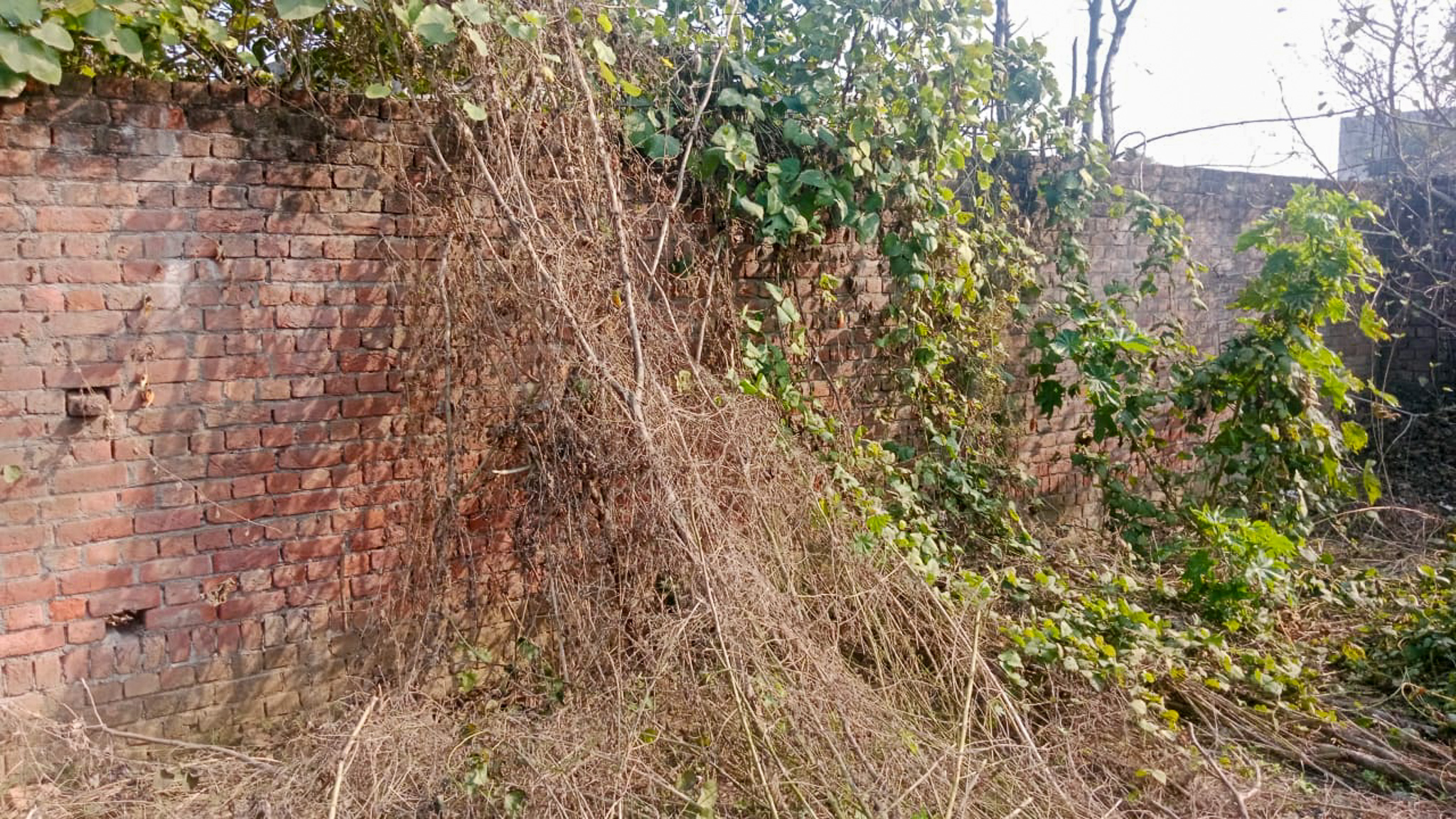 Individual House for sale in Amritsar — photo 14