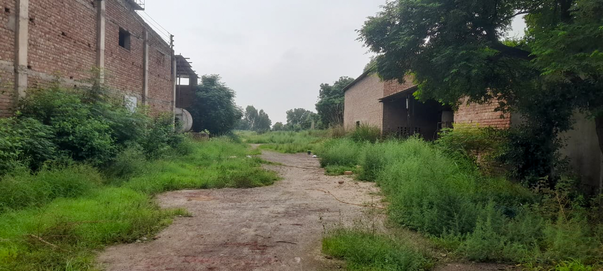 Industrial Plot with Factory Building for sale in Jalalabad — photo 17