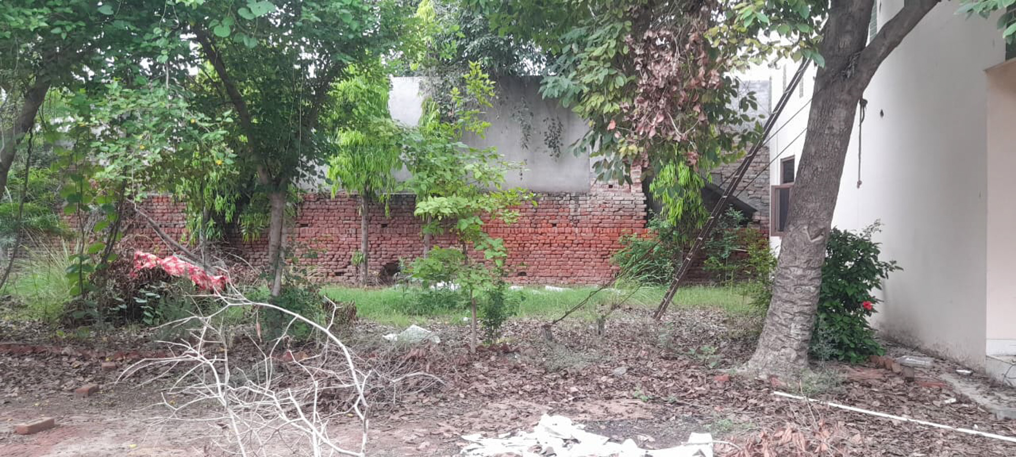 Industrial Plot with Factory Building for sale in Jalalabad — photo 18