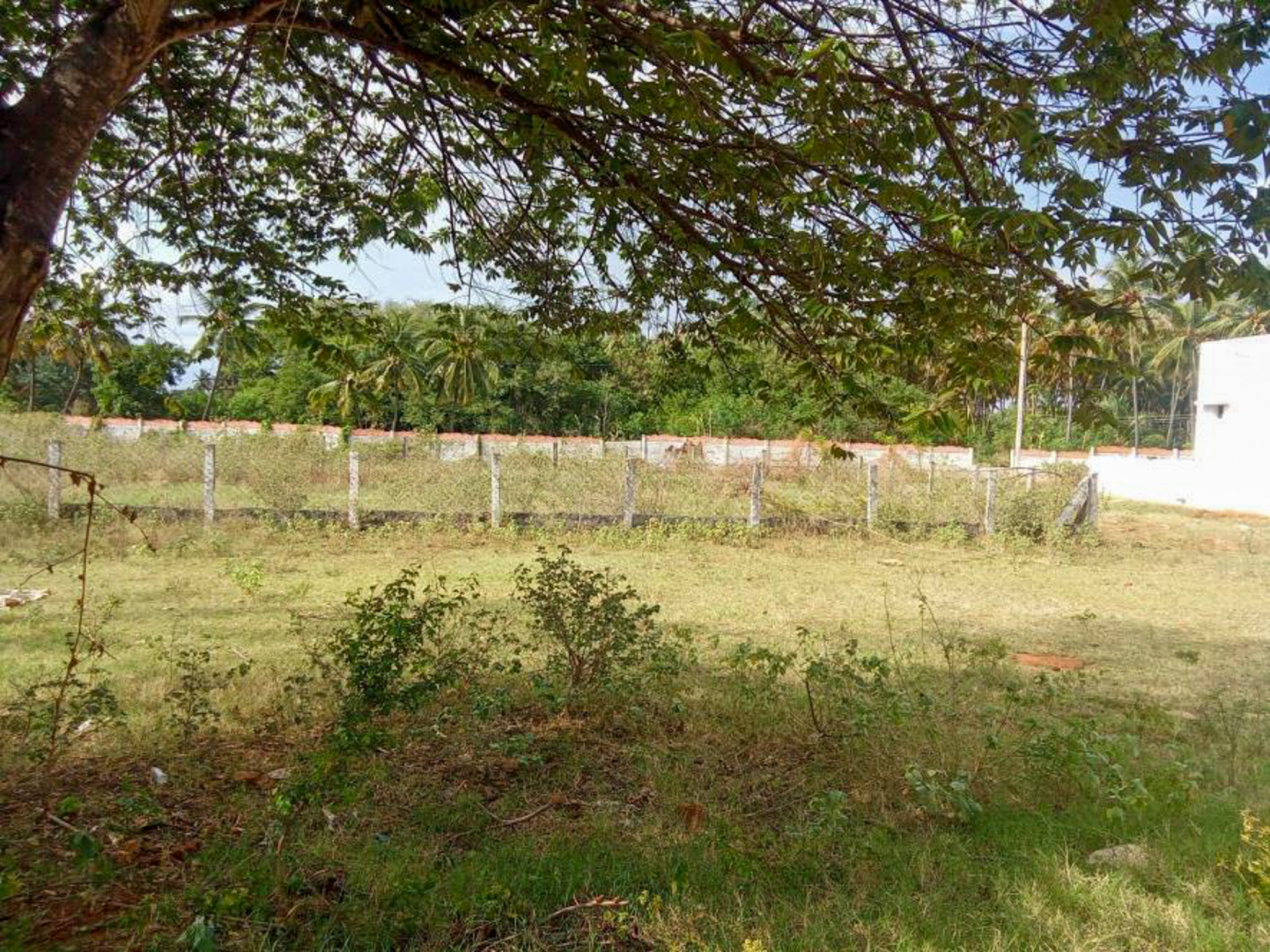 Individual House for sale in Chinnamanur — photo 20