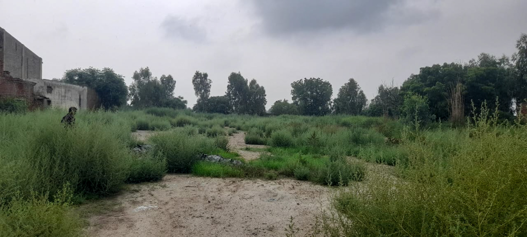 Industrial Plot with Factory Building for sale in Jalalabad — photo 1