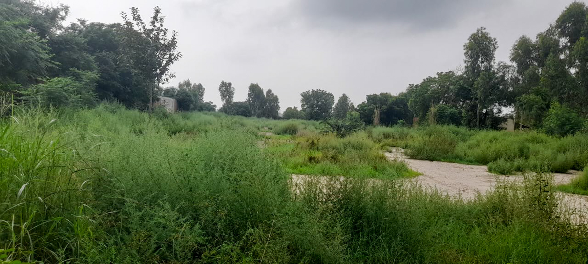 Industrial Plot with Factory Building for sale in Jalalabad — photo 2