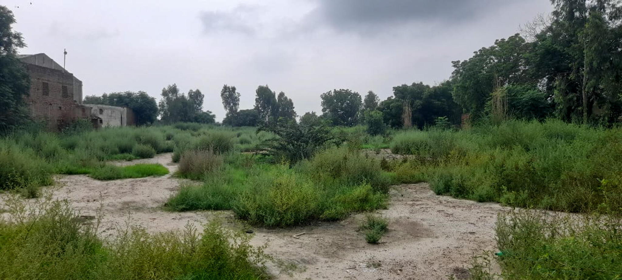Industrial Plot with Factory Building for sale in Jalalabad — photo 5
