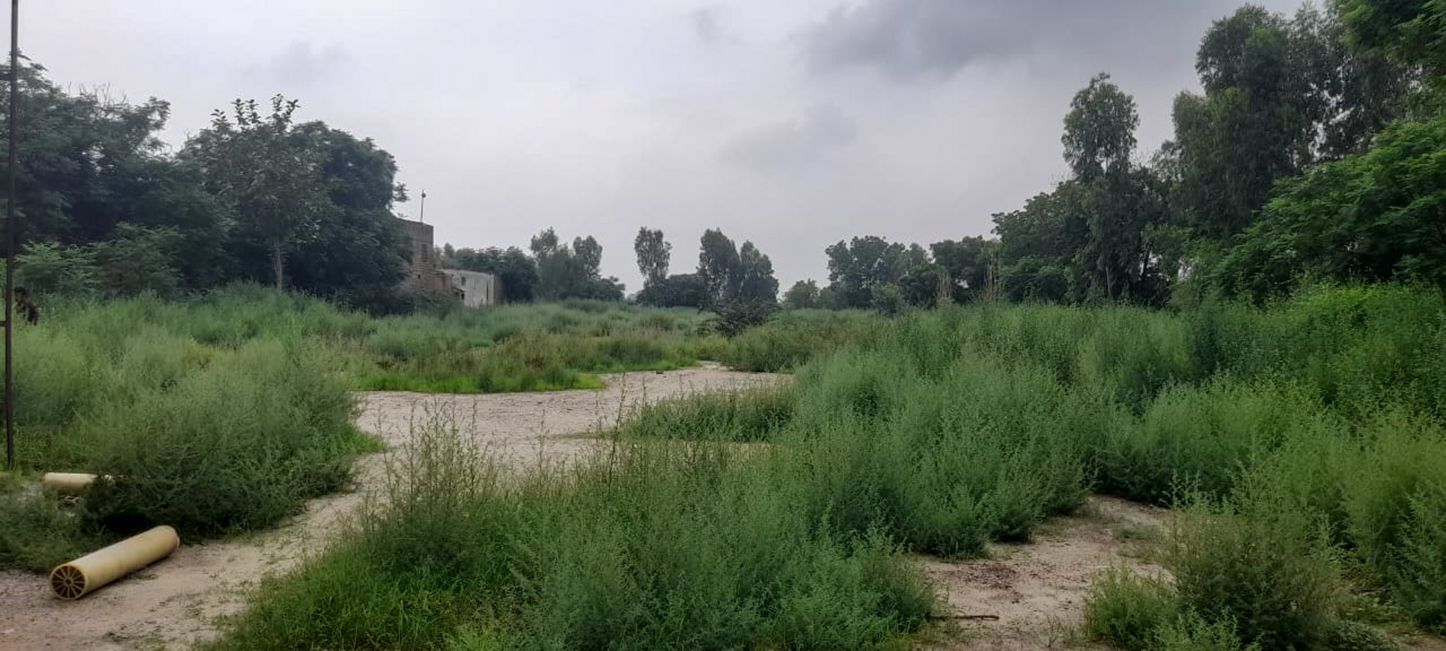 Industrial Plot with Factory Building for sale in Jalalabad — photo 7