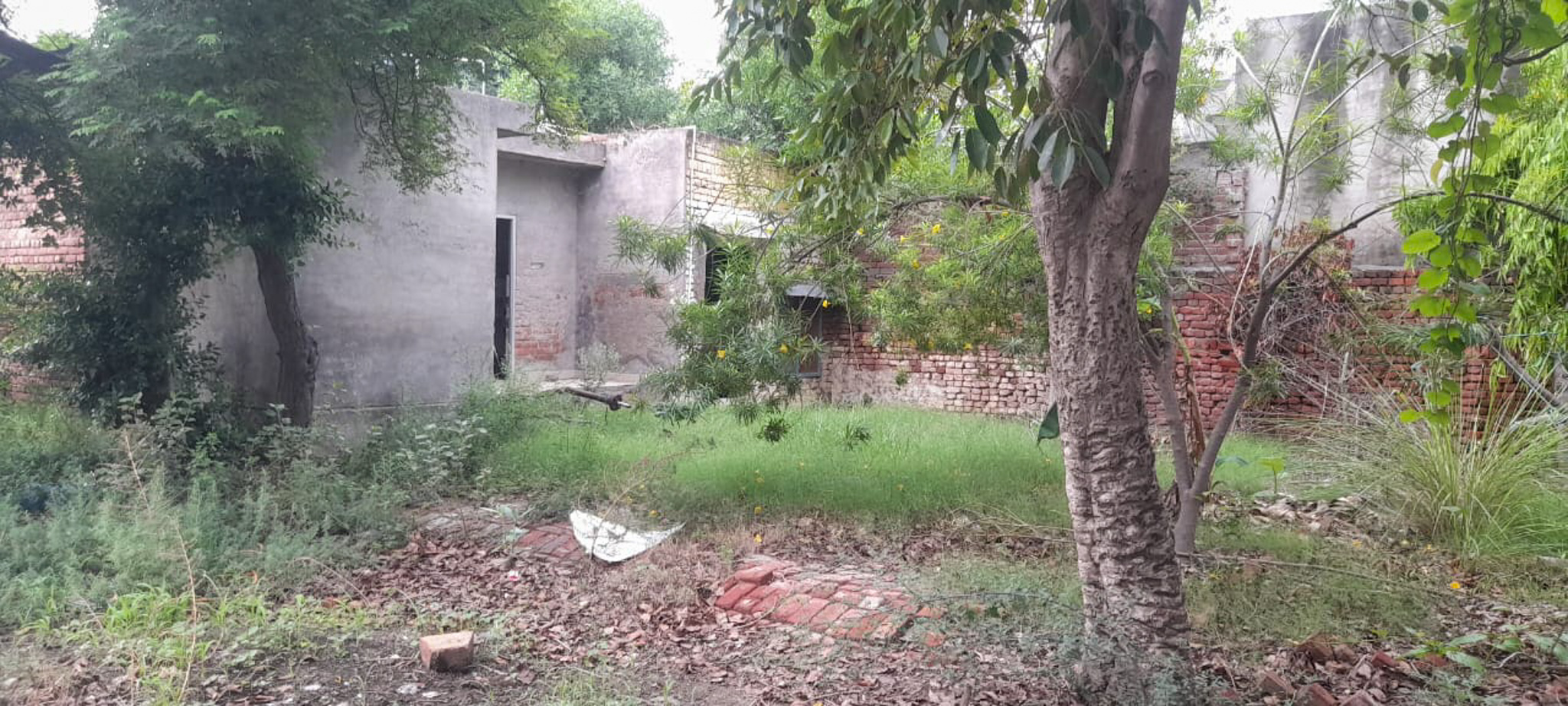 Industrial Plot with Factory Building for sale in Jalalabad — photo 12