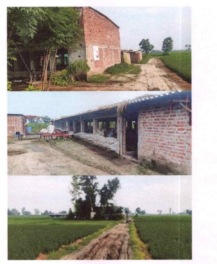 Farm House for sale in Goindwal — photo 1