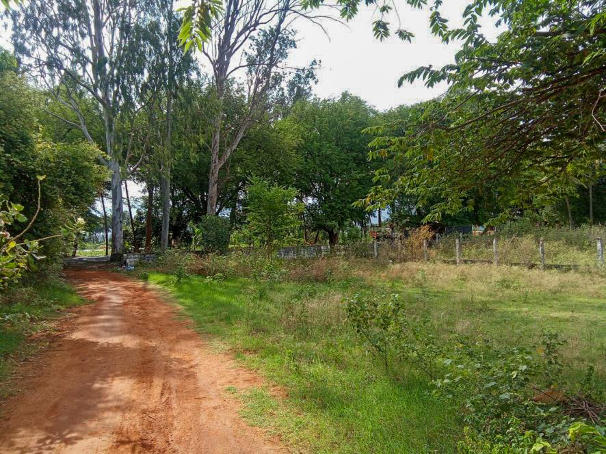 Individual House for sale in Chinnamanur — photo 4