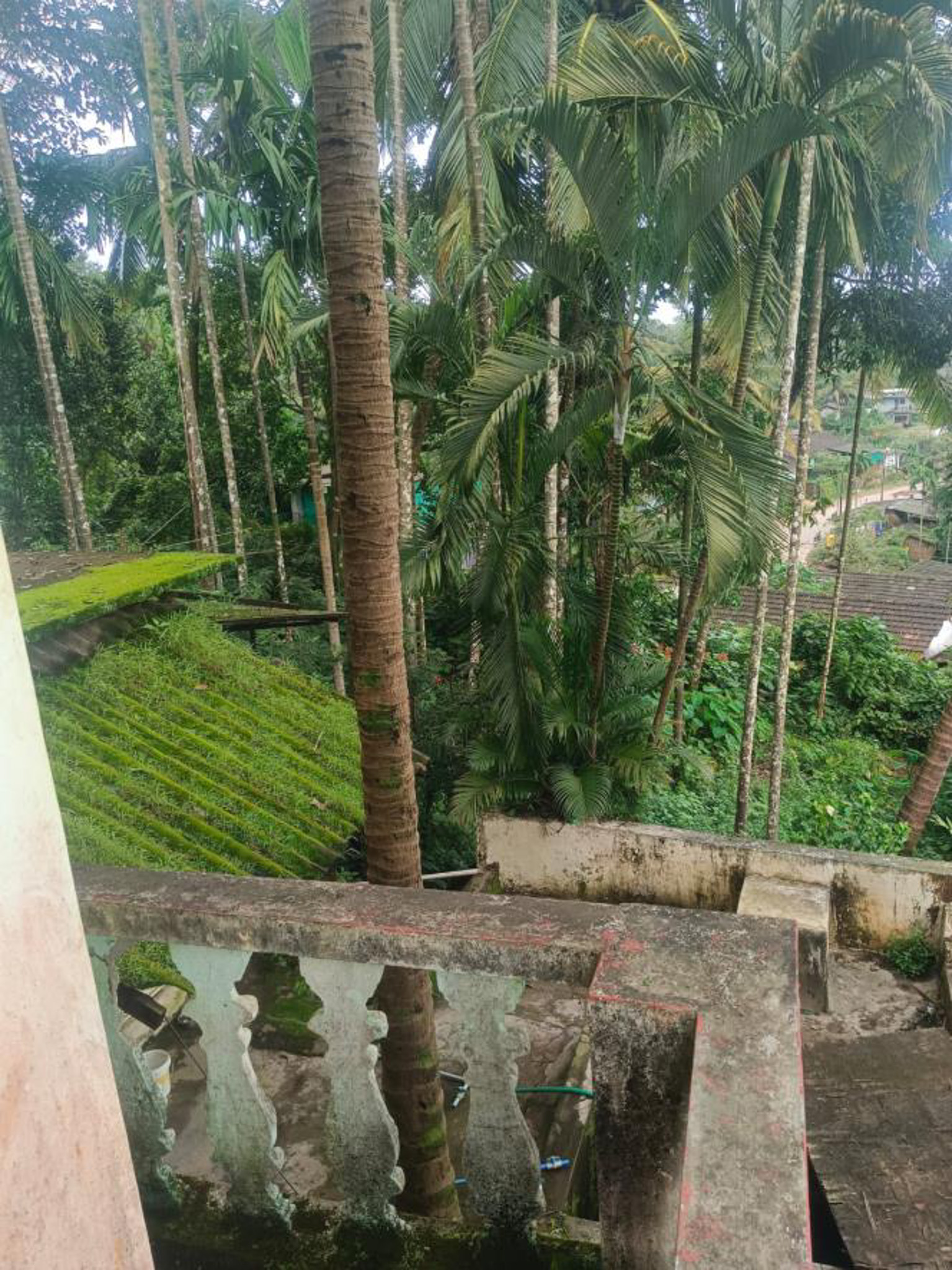 Individual House for sale in KARGAL, SAGARA TQ, SHIVAMOGGA DIST Sagar — photo 12