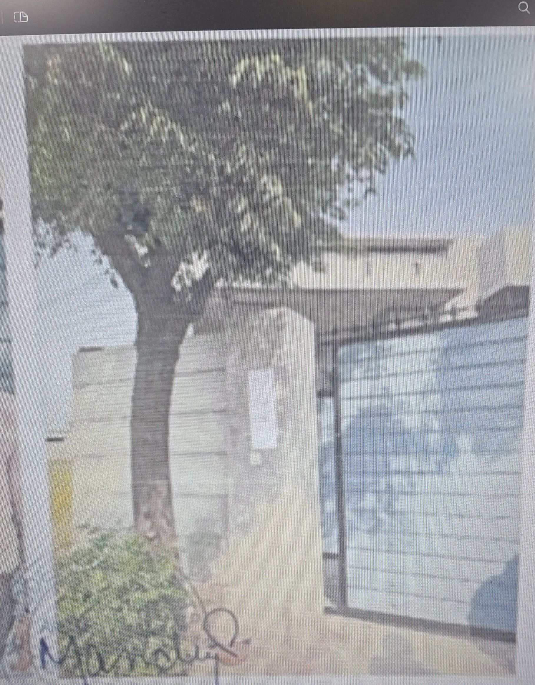 Individual House for sale in Moga — photo 1