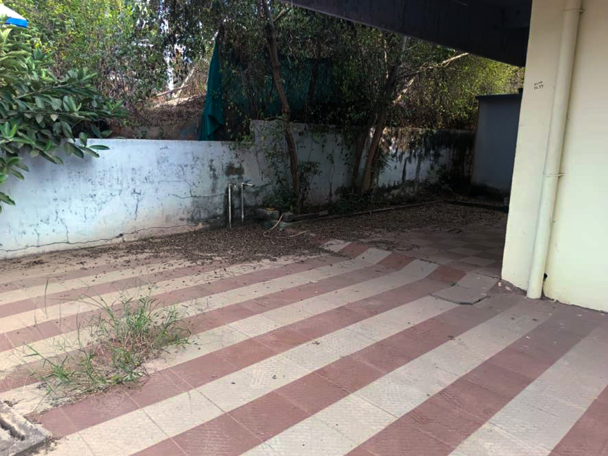 612 square feet Individual House for sale in puvvala raju, Bommuru Rajamahendravaram — photo 6