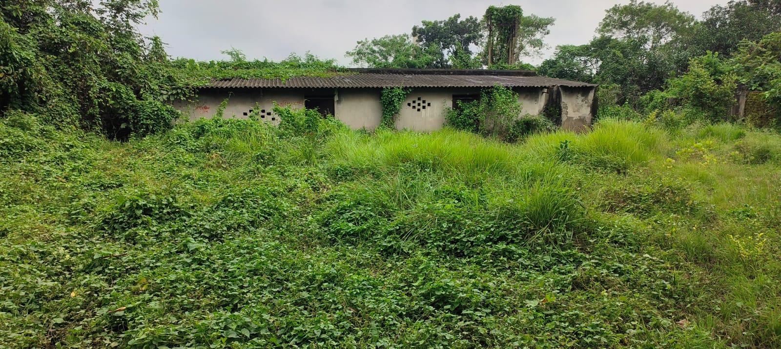 Industrial Shed for sale in Kalna, Purba Bardhaman Kalna