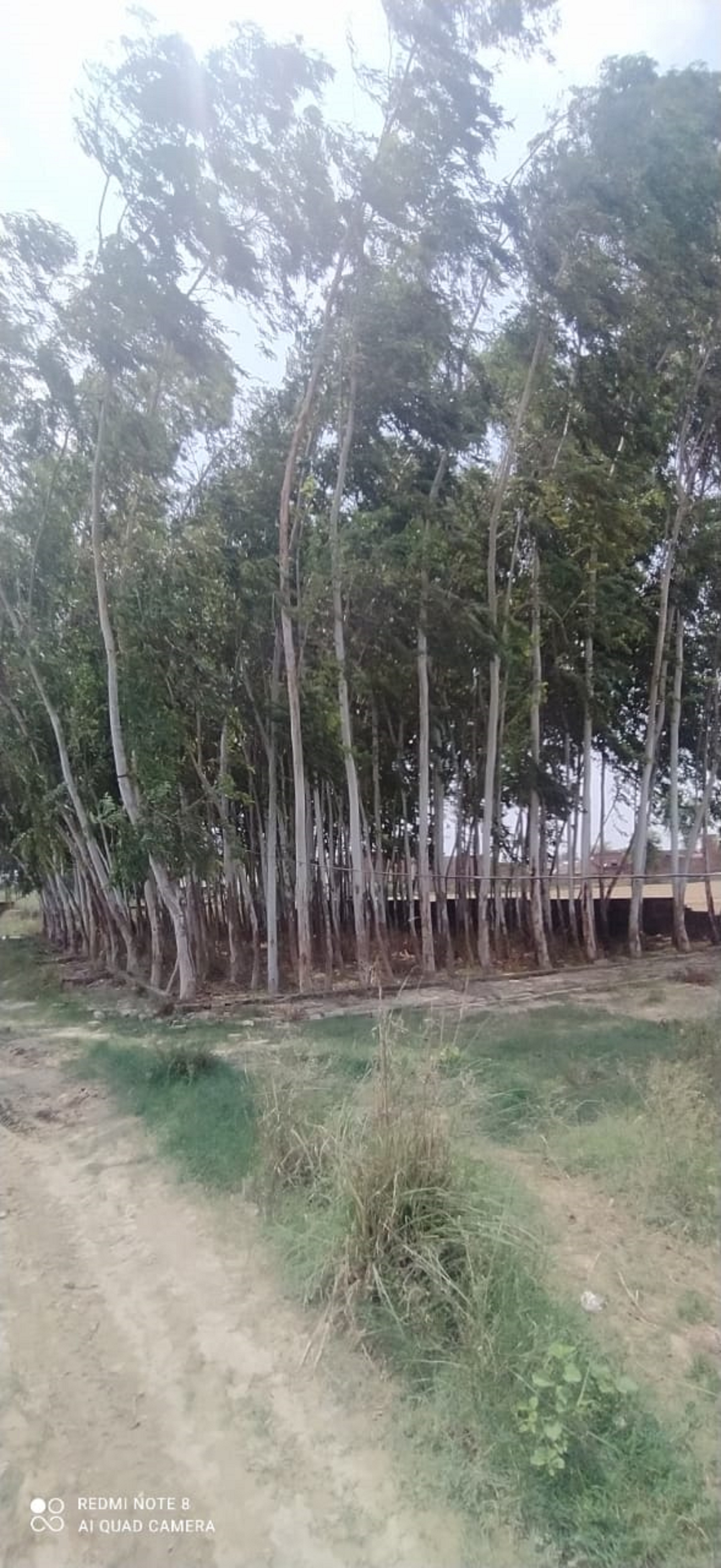 Individual House for sale in Shahjahanpur