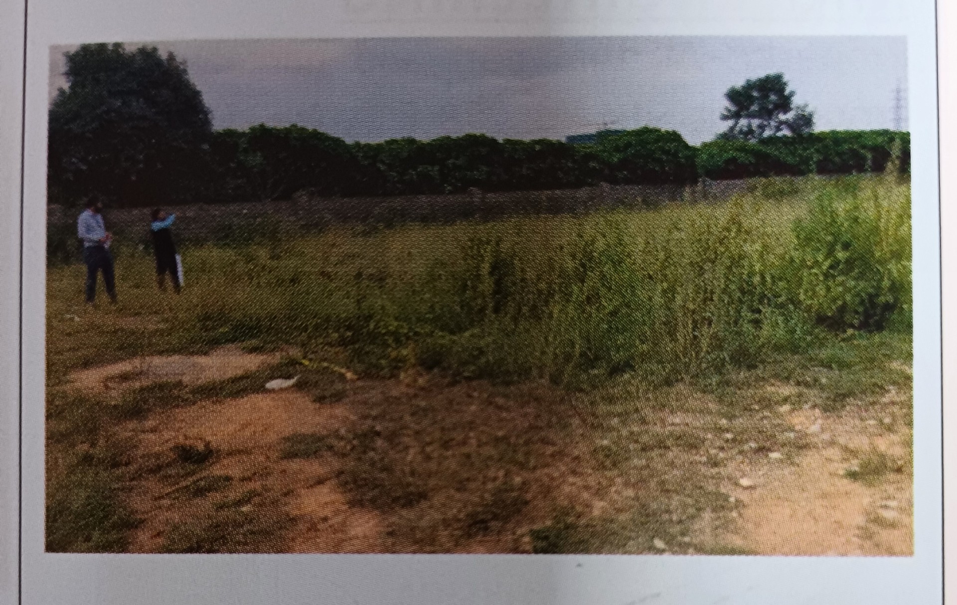 6650 square feet Plot for sale in VISHWAPRIYA GREENARIES, BEGUR Bengaluru — photo 1