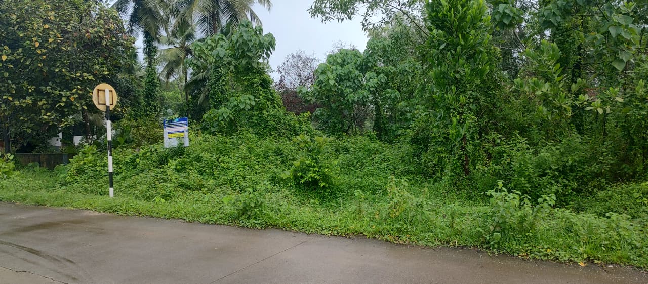 3920.04 square feet Agriculture Land for sale in Karkala, Udupi Karkala — photo 3