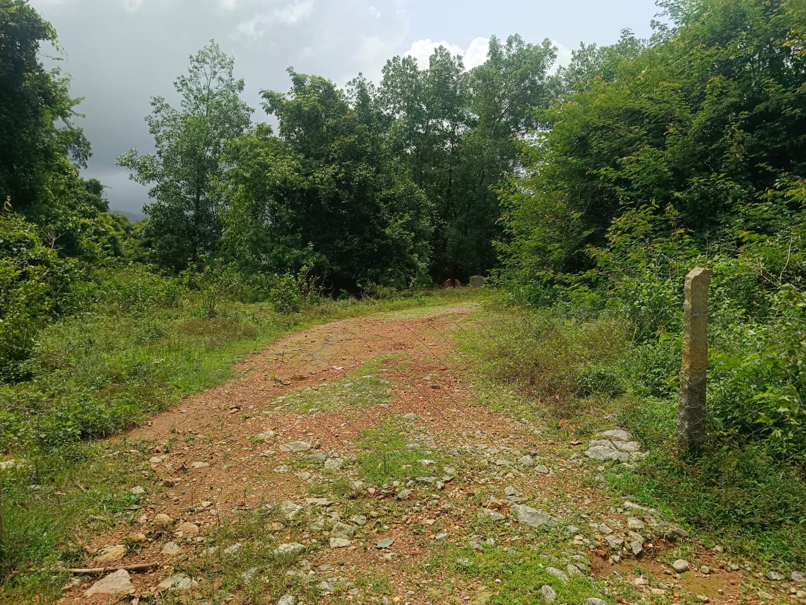 Industrial Plot with Factory Building for sale in SHEDIMANE VILLAGE Kundapura — photo 2