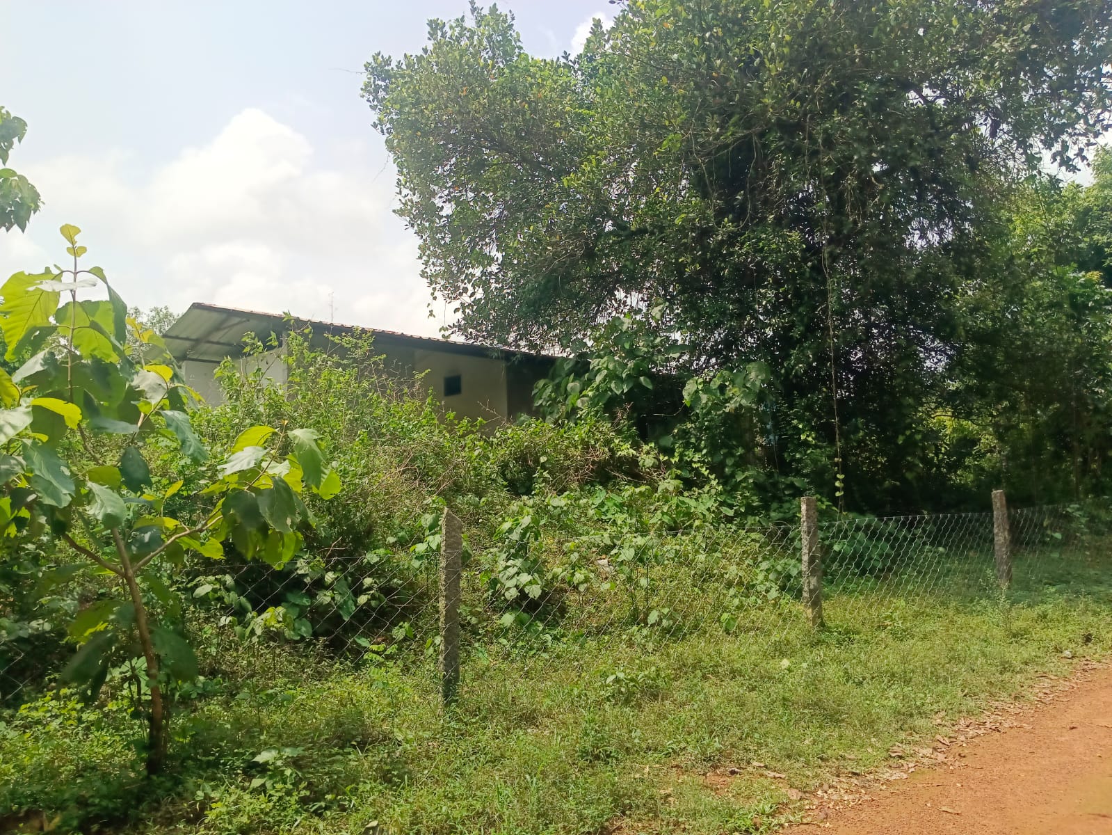 Industrial Plot with Factory Building for sale in SHEDIMANE VILLAGE Kundapura — photo 3