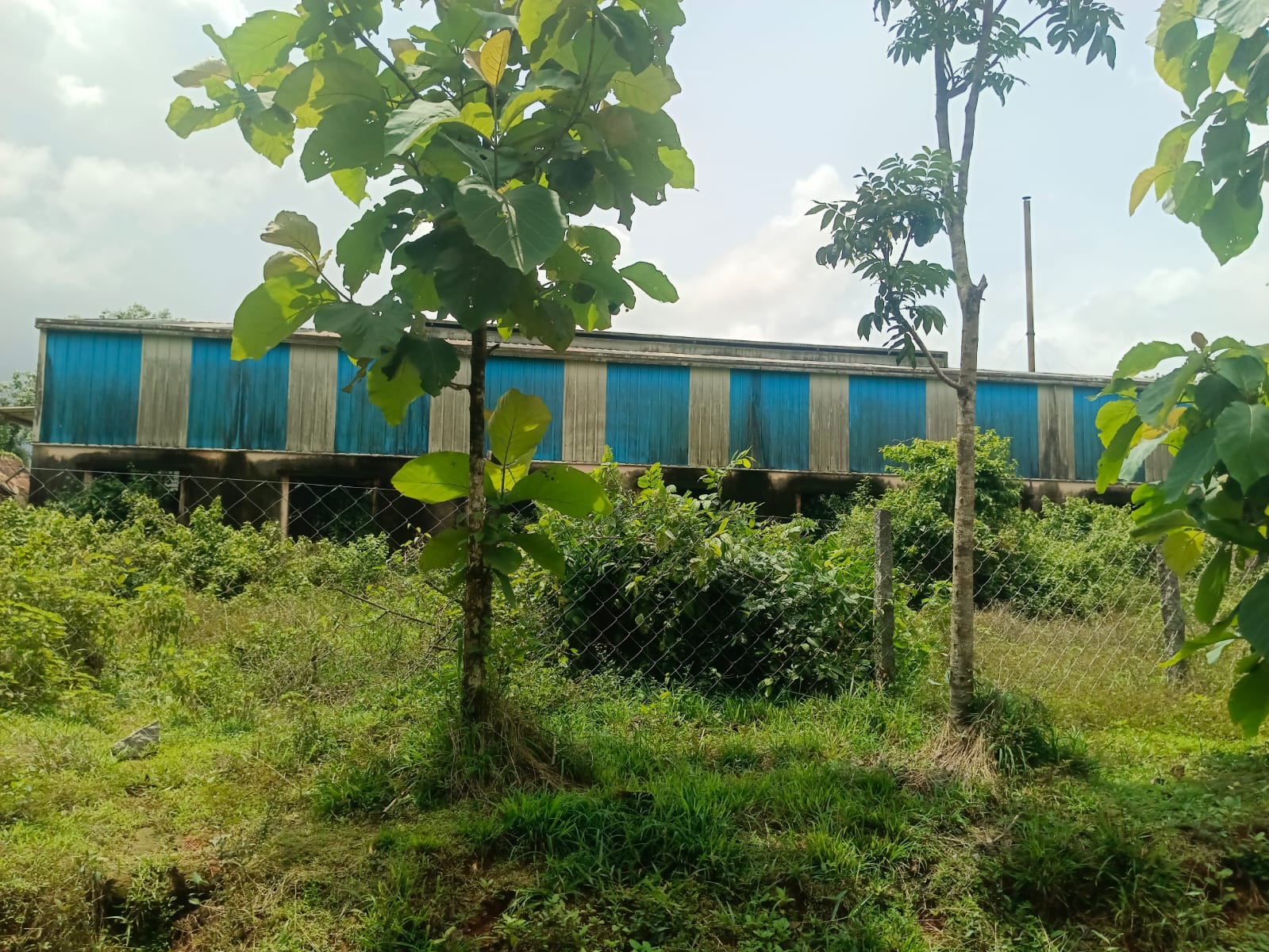 Industrial Plot with Factory Building for sale in SHEDIMANE VILLAGE Kundapura — photo 4