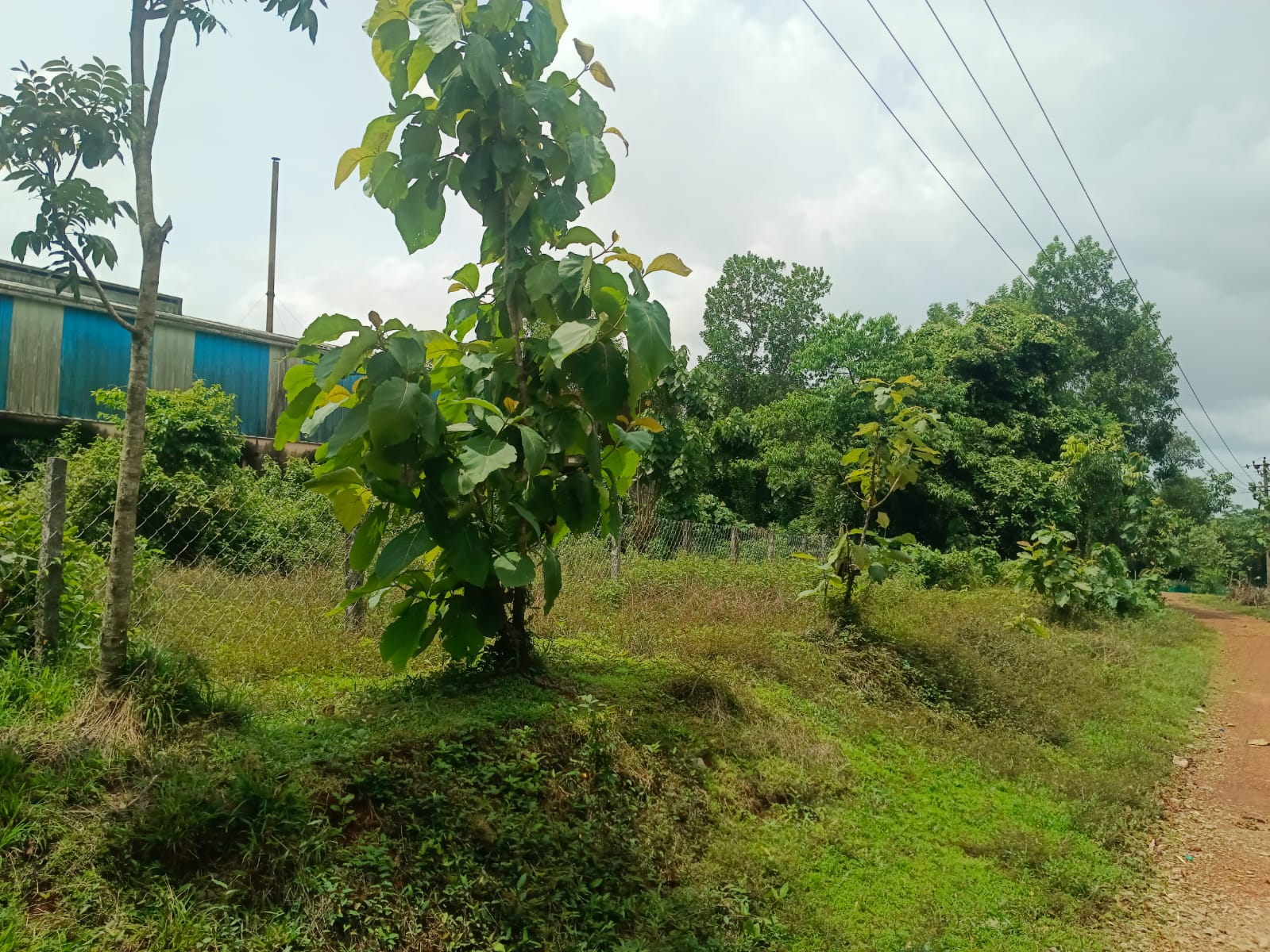 Industrial Plot with Factory Building for sale in SHEDIMANE VILLAGE Kundapura — photo 6