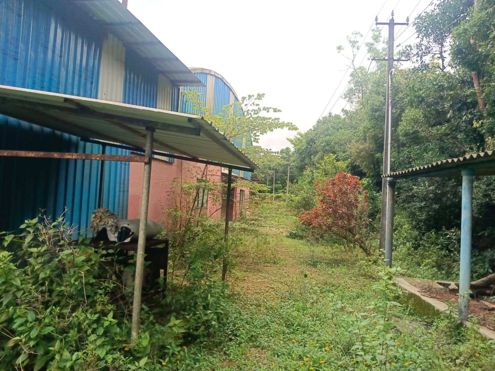 Shed with Plant and Machinery for sale in Barkur — photo 2