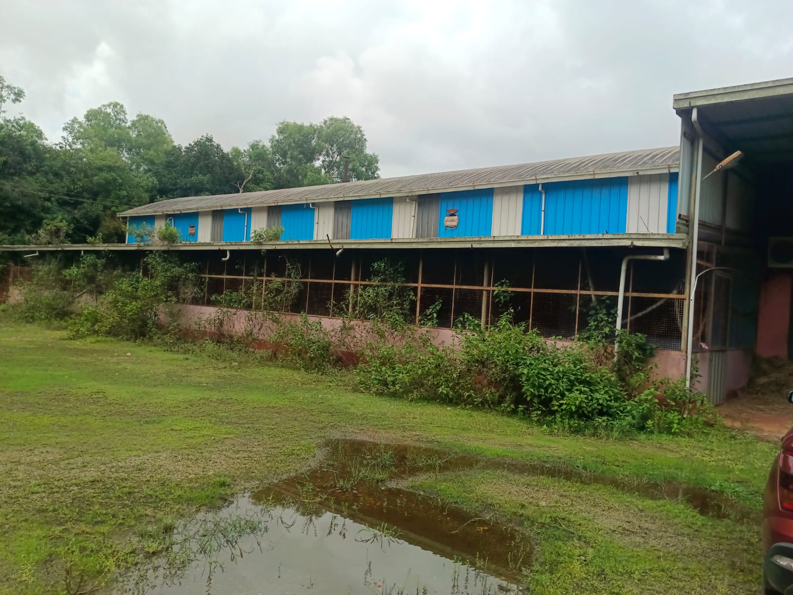 Shed with Plant and Machinery for sale in Barkur — photo 9