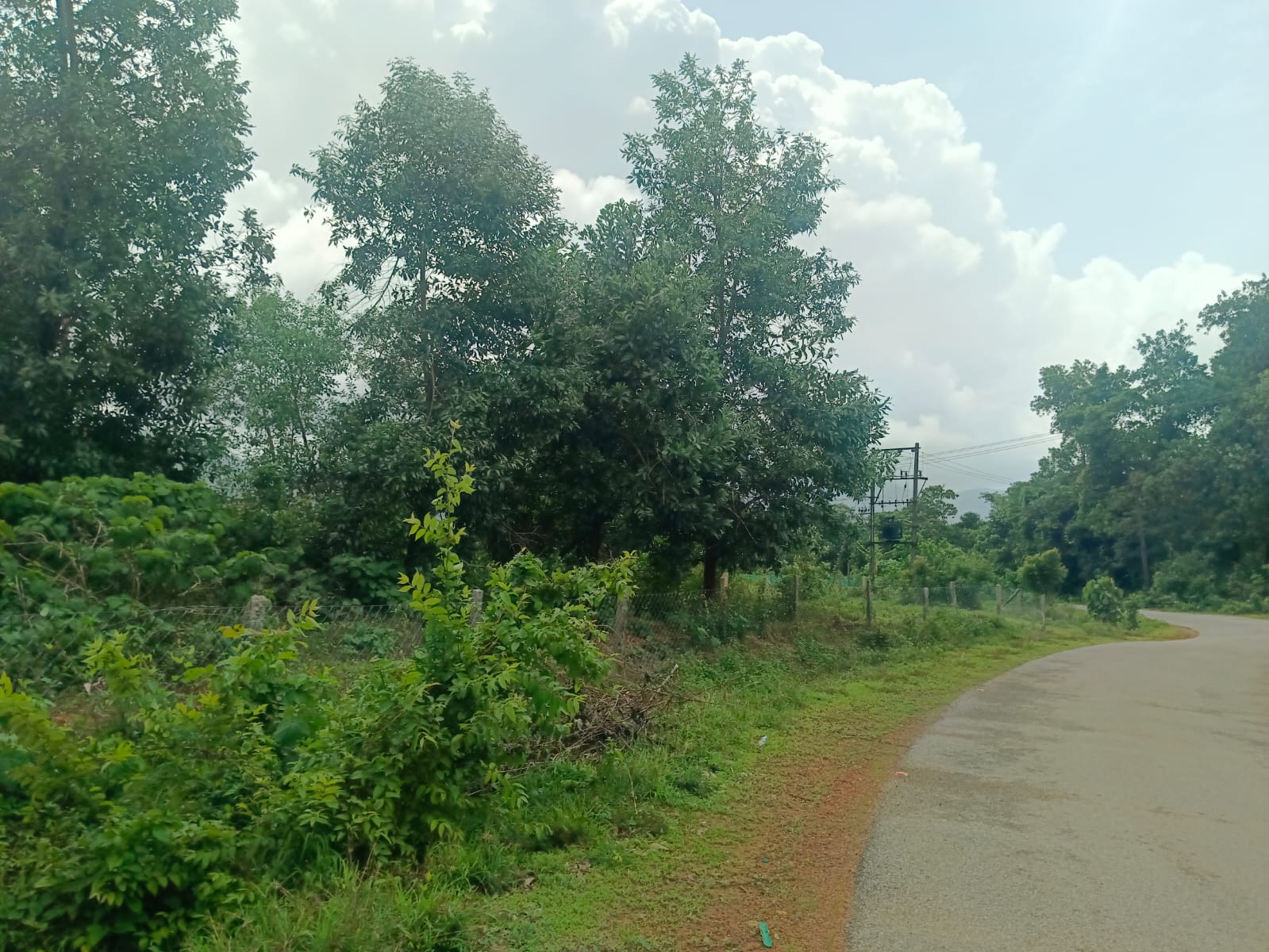 Industrial Plot with Factory Building for sale in SHEDIMANE VILLAGE Kundapura — photo 1