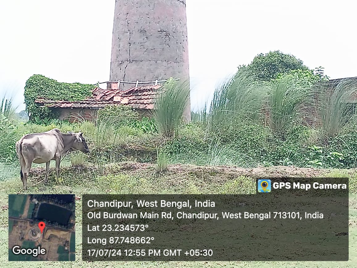 Industrial Plot for sale in VILLAGE MASHILA CHANDIPUR, PO-SASANGA, BURDWAN 713142 Burdwan