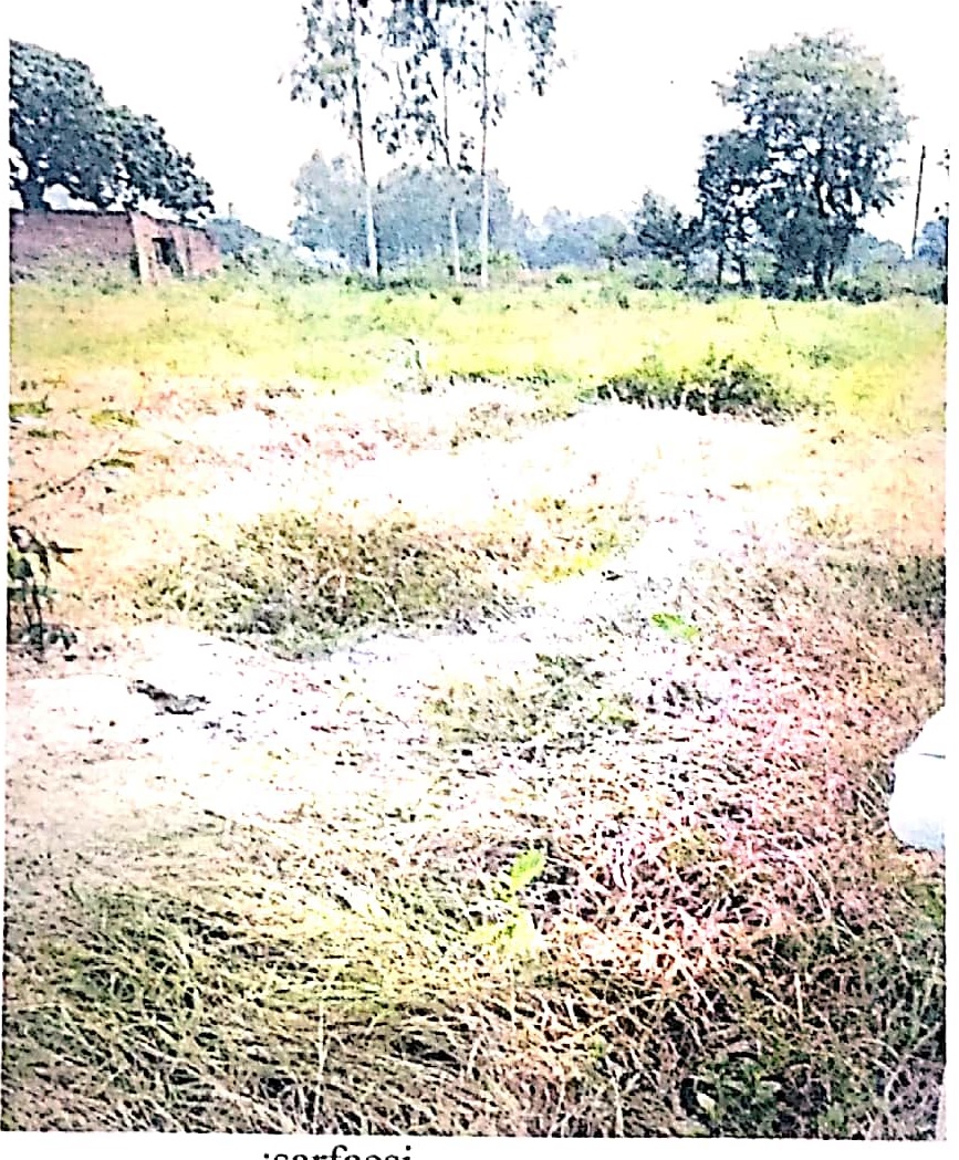 Plot for sale in Amethi — photo 1