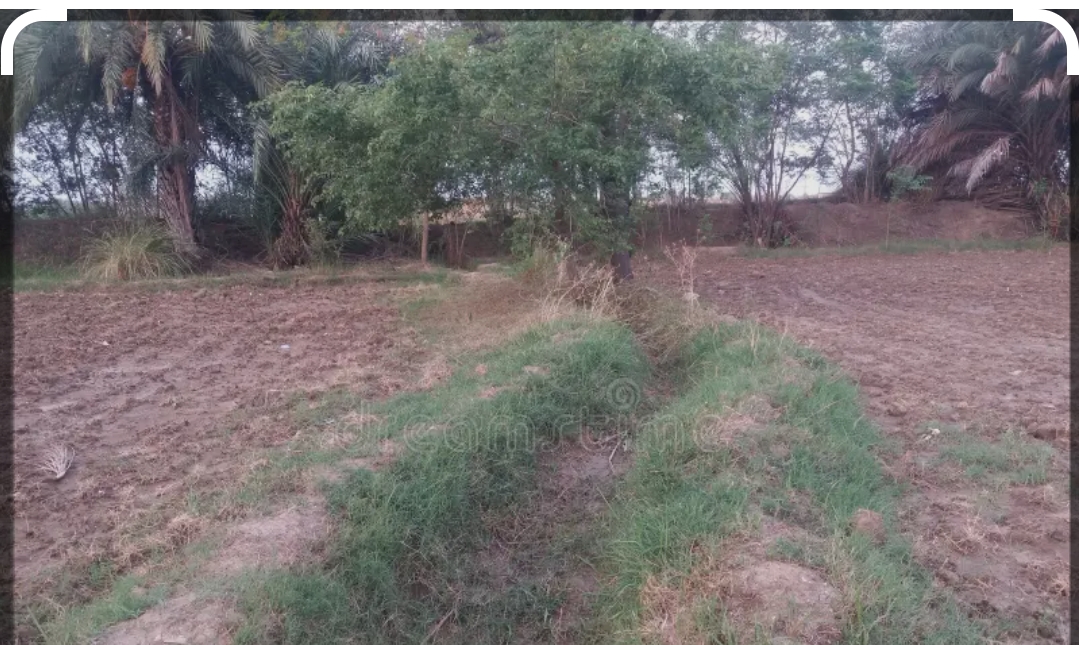 Plot for sale in Amethi — photo 1