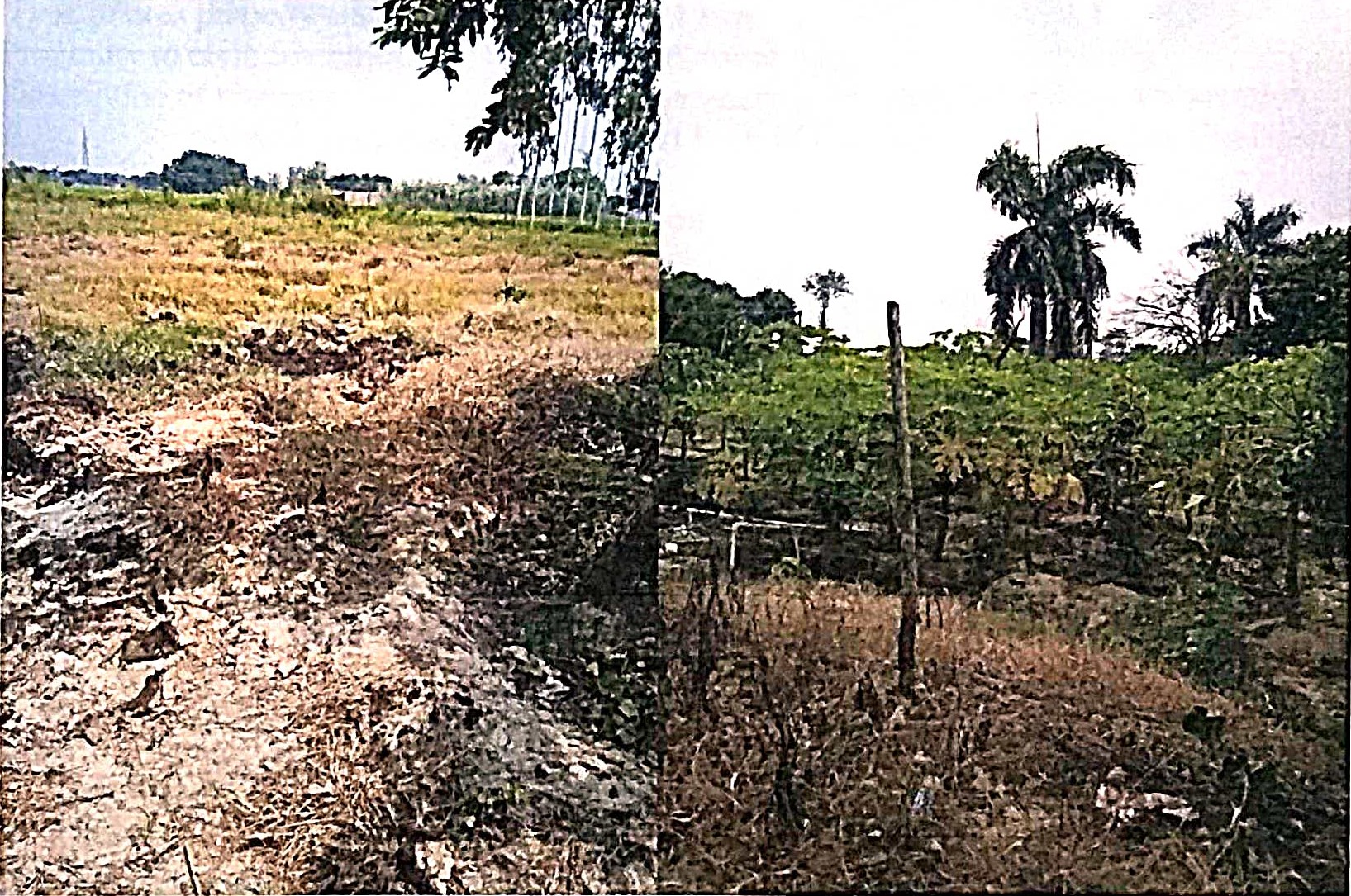 Plot for sale in Amethi — photo 3