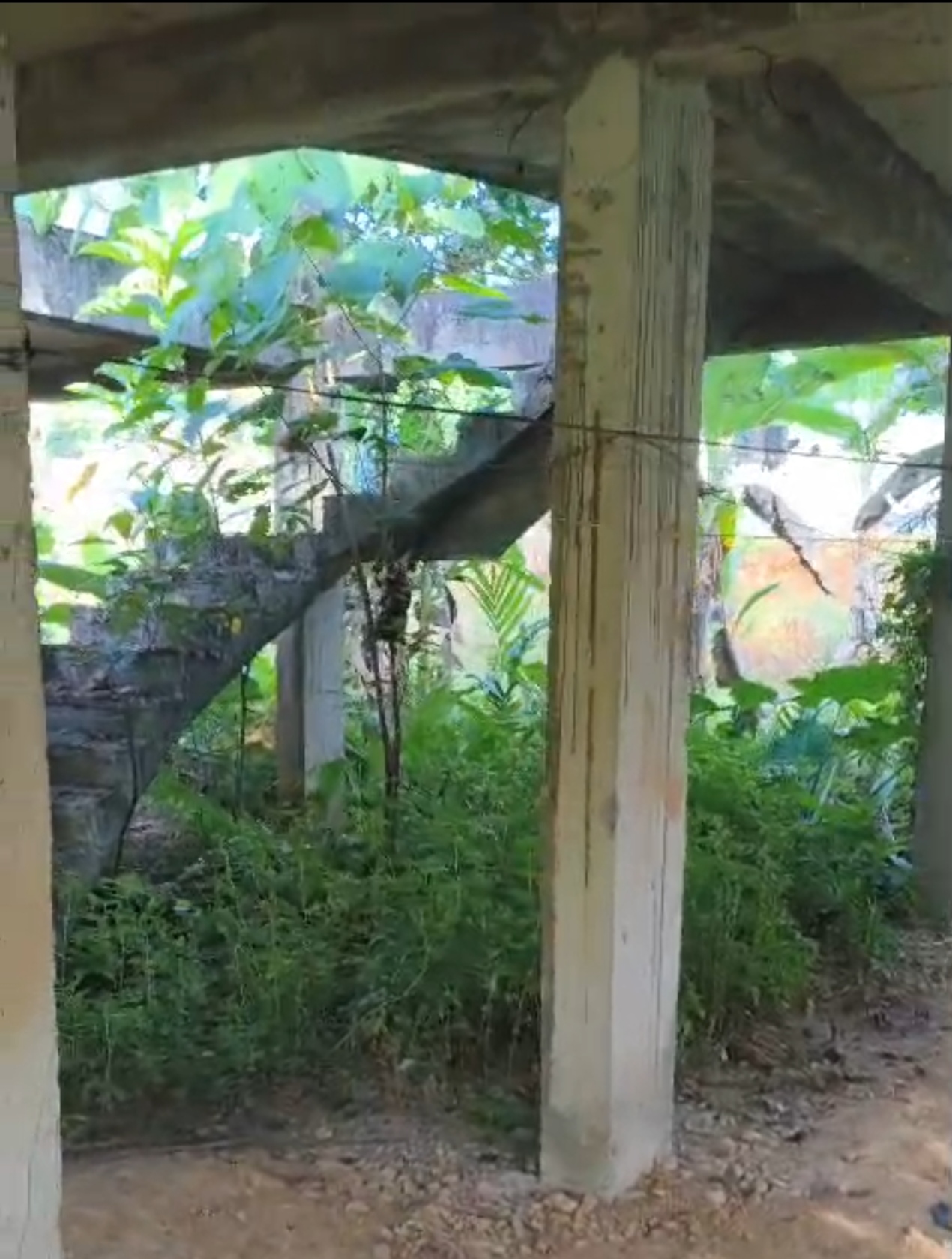 2117 square feet Plot for sale in KUNNATHUNADU, KOLENCHERRY KOLENCHERY — photo 3
