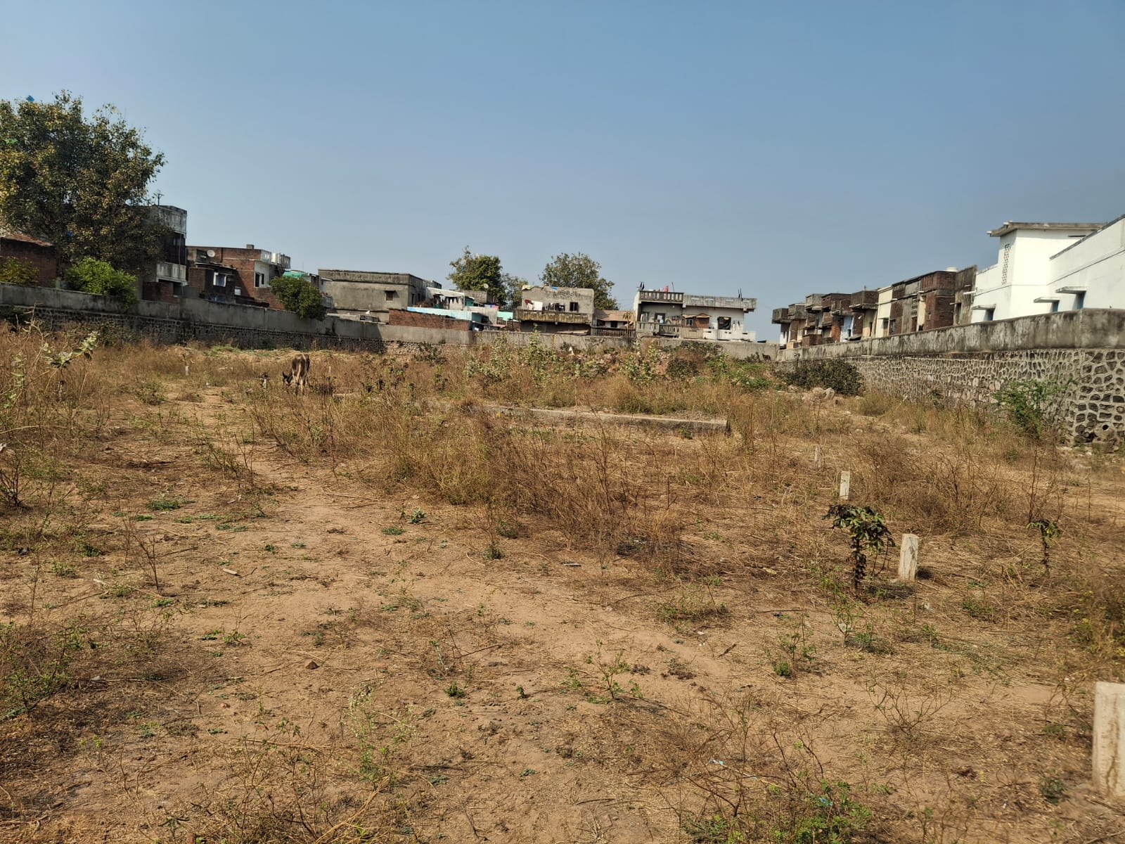 48.59 square meter Plot for sale in VIJAPUR Ranasan Industrial Area — photo 1
