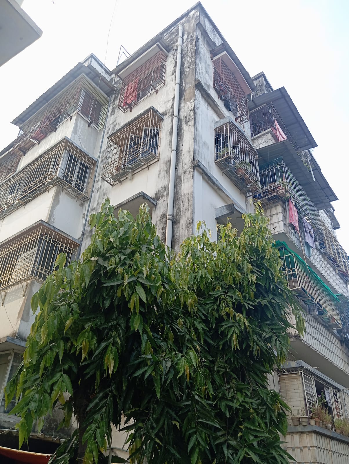 Flat for sale in NEAR BEHALA SREE SANGHA CLUB Kolkata — photo 1