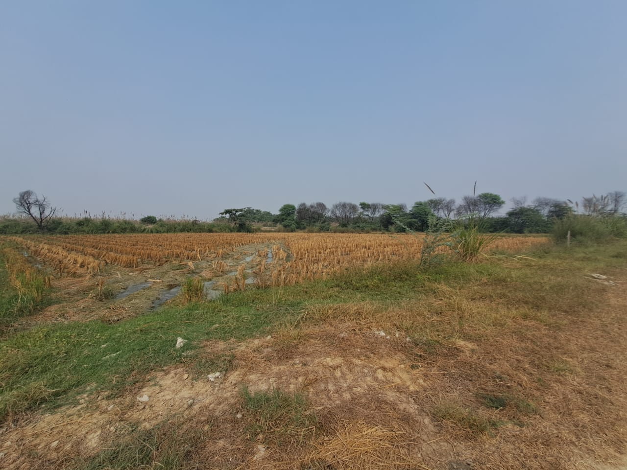 Plot for sale in Devinagar — photo 1