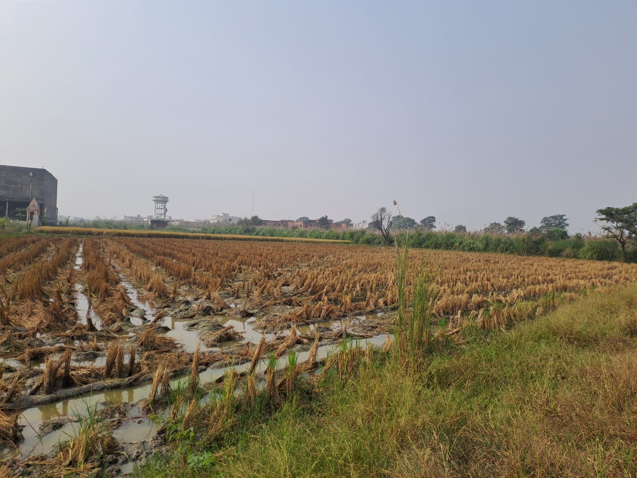 Plot for sale in Devinagar — photo 4