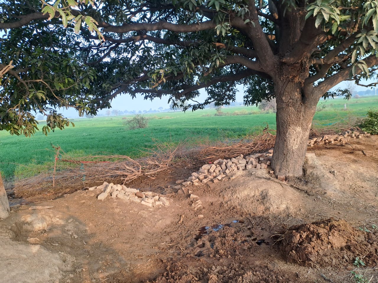 Plot for sale in Etah — photo 8