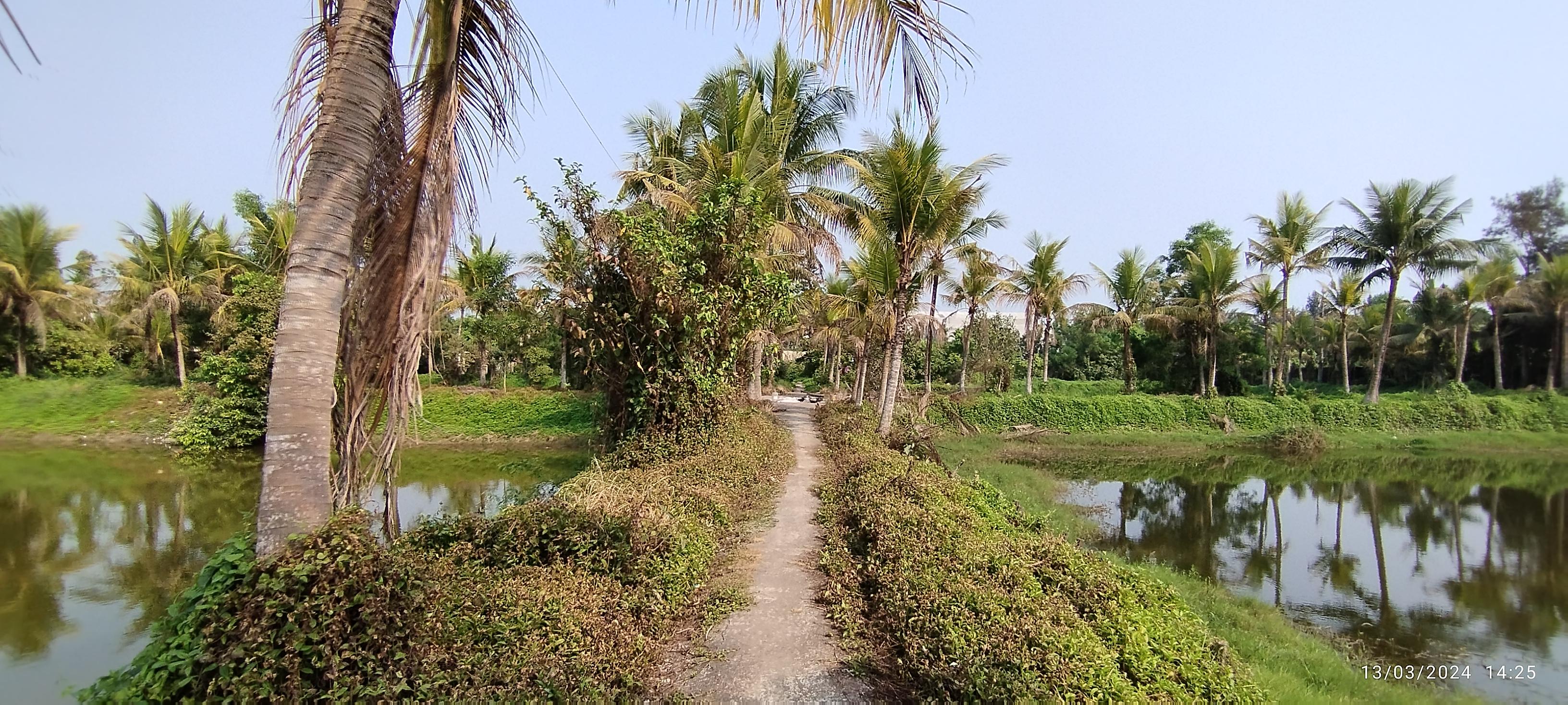 Industrial Plot with Factory Building for sale in Vill –Banganagar, Hasimnagar ,Diamond Harbour Road Ajodhyanagar — photo 6