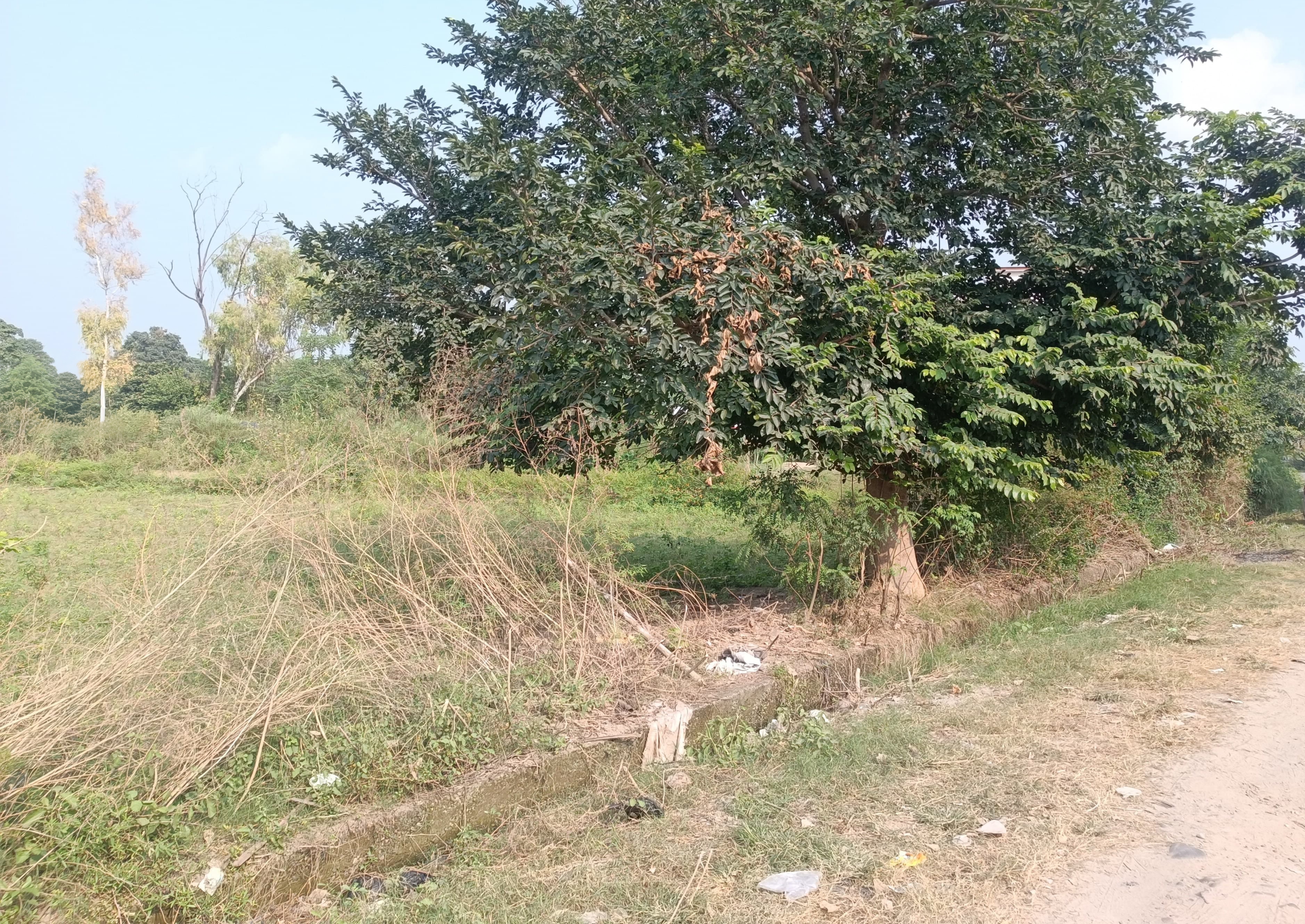 Vacant Plot for sale in Mohal, Surajpur Bhuntar — photo 3