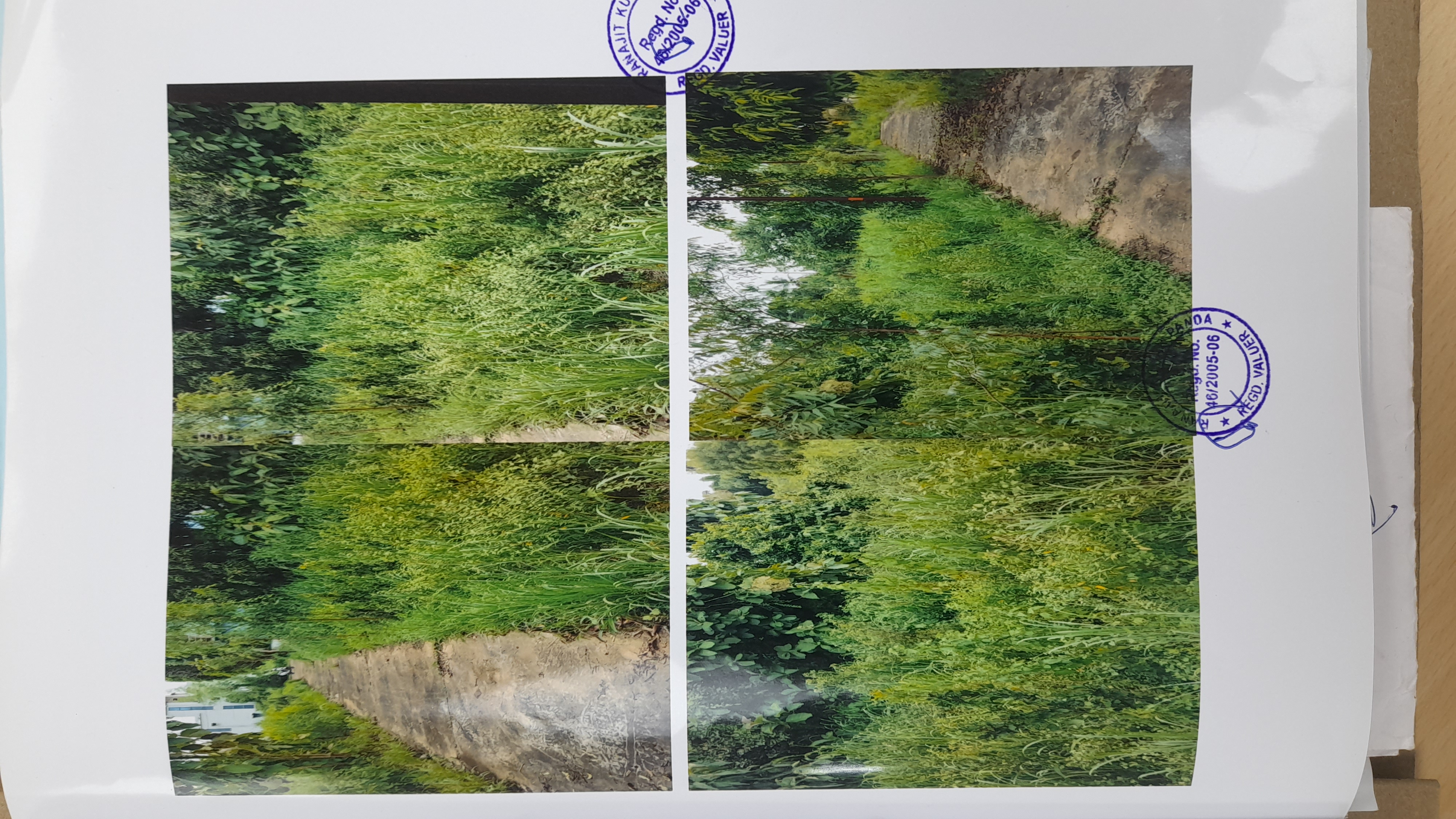 1792 square feet Plot for sale in KANTAPADA Talcher