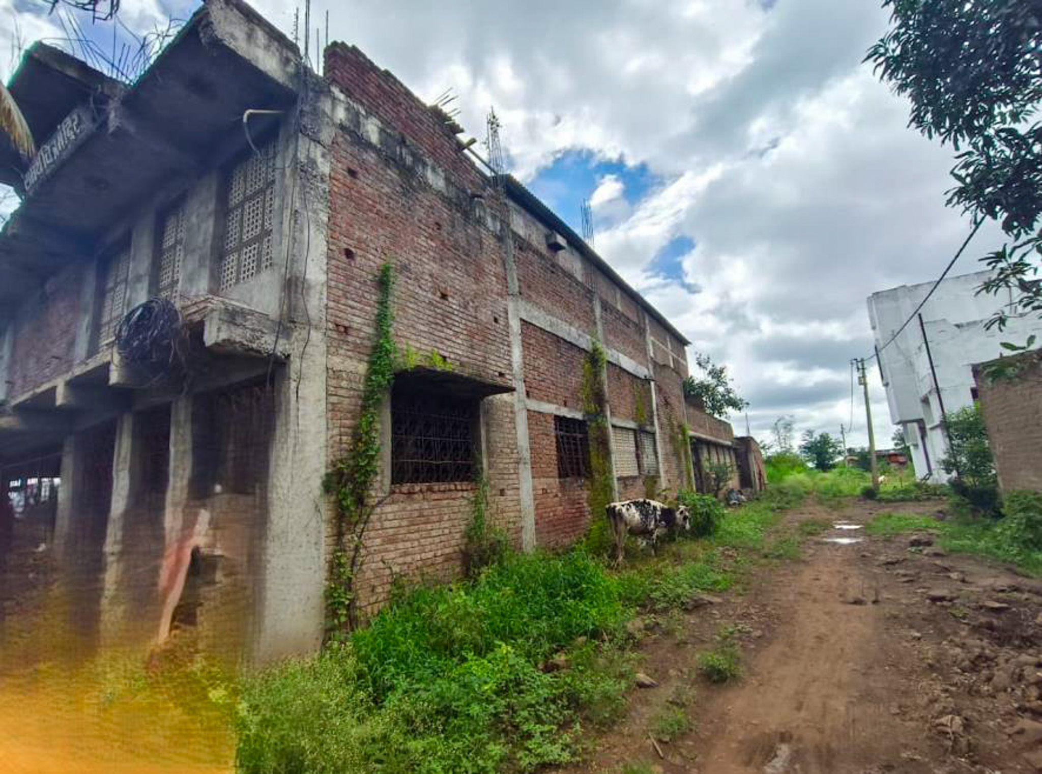 Office for sale in Palus — photo 18