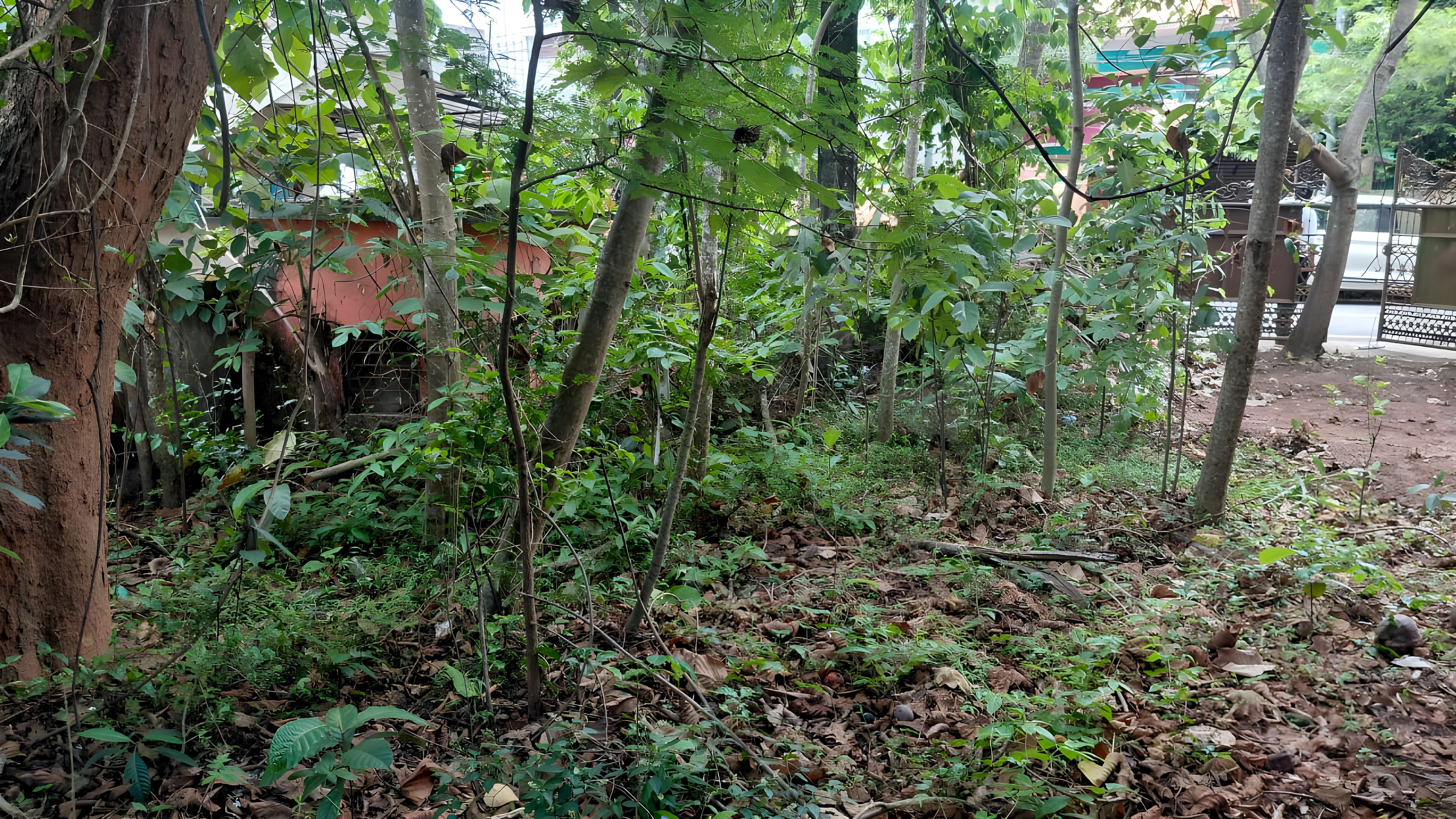 8712 square feet Bungalow for sale in Vattiyoorkavu Thiruvananthapuram — photo 3