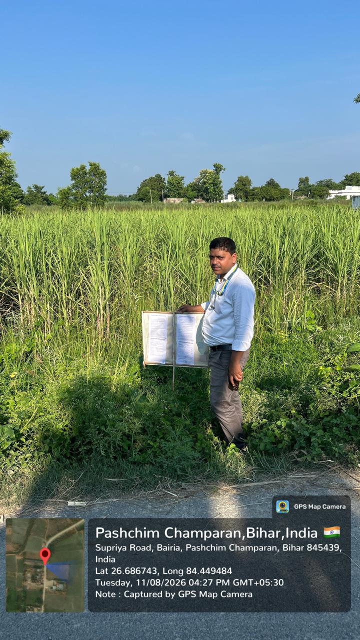 15350 square feet Plot for sale in Bettiah — photo 3