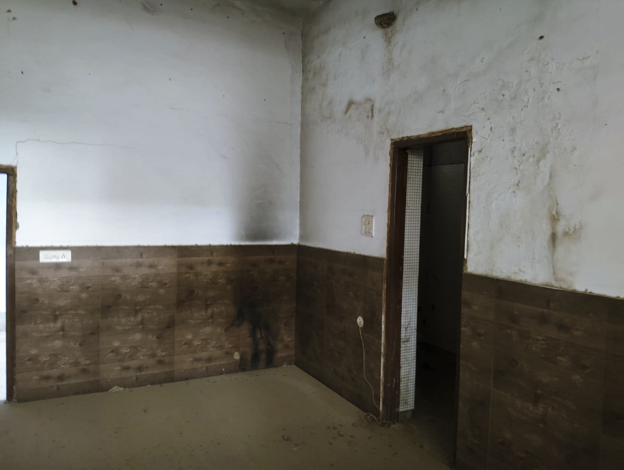 Individual House for sale in Jalandhar — photo 16